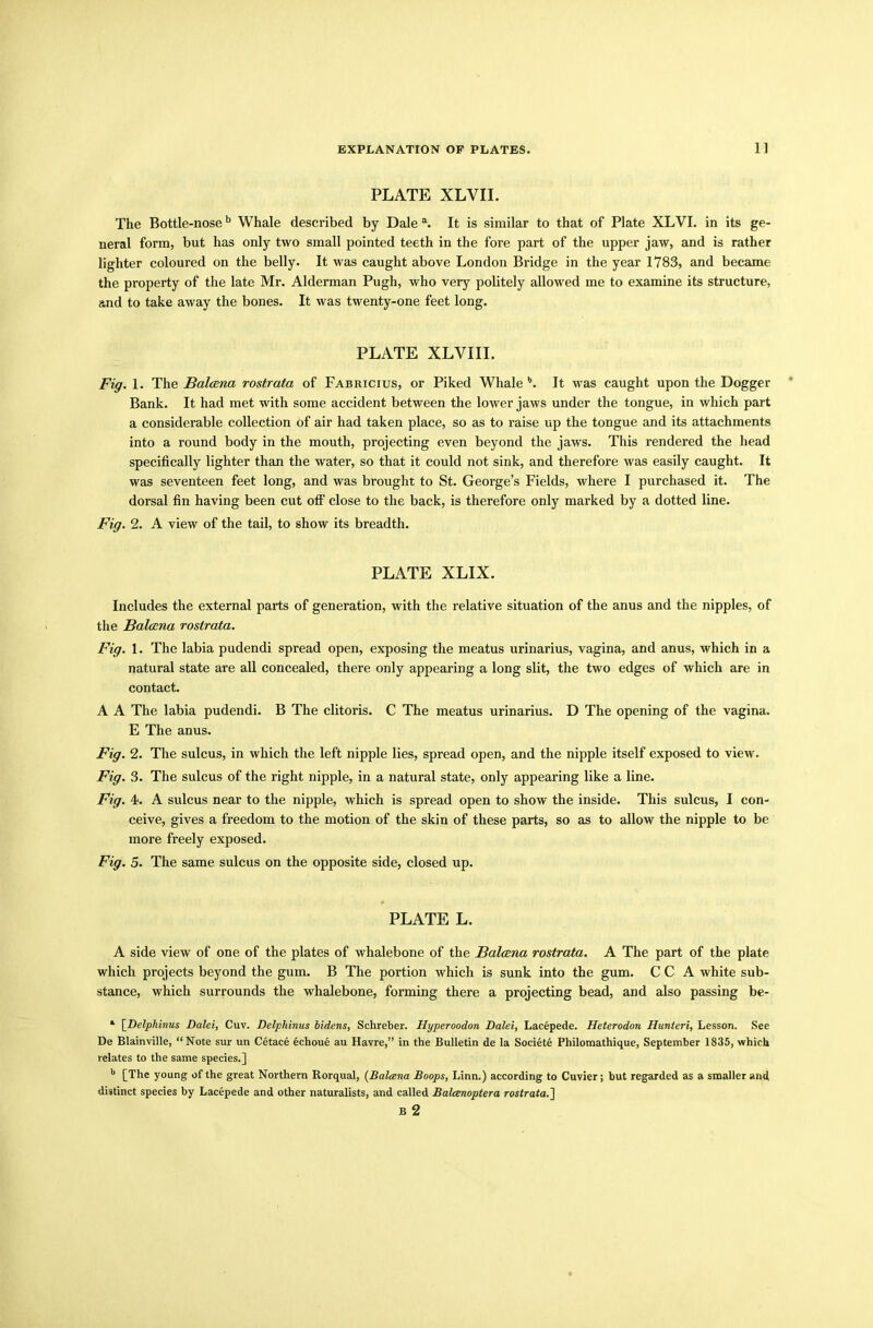 PLATE XLVII. The Bottle-noseb Whale described by Dale \ It is similar to that of Plate XLVI. in its ge- neral form, but has only two small pointed teeth in the fore part of the upper jaw, and is rather lighter coloured on the belly. It was caught above London Bridge in the year 1783, and became the property of the late Mr. Alderman Pugh, who very politely allowed me to examine its structure, and to take away the bones. It was twenty-one feet long. PLATE XLVIII. Fig. 1. The Balcena rostrata of Fabricius, or Piked Whale b. It was caught upon the Dogger Bank. It had met with some accident between the lower jaws under the tongue, in which part a considerable collection of air had taken place, so as to raise up the tongue and its attachments into a round body in the mouth, projecting even beyond the jaws. This rendered the head specifically lighter than the water, so that it could not sink, and therefore was easily caught. It was seventeen feet long, and was brought to St. George’s Fields, where I purchased it. The dorsal fin having been cut otf close to the back, is therefore only marked by a dotted line. Fig. 2. A view of the tail, to show its breadth. PLATE XLIX. Includes the external parts of generation, with the relative situation of the anus and the nipples, of the Balcena rostrata. Fig. 1. The labia pudendi spread open, exposing the meatus urinarius, vagina, and anus, which in a natural state are all concealed, there only appearing a long slit, the two edges of which are in contact. A A The labia pudendi. B The clitoris. C The meatus urinarius. D The opening of the vagina. E The anus. Fig. 2. The sulcus, in which the left nipple lies, spread open, and the nipple itself exposed to view. Fig. 3. The sulcus of the right nipple, in a natural state, only appearing like a line. Fig. 4. A sulcus near to the nipple, which is spread open to show the inside. This sulcus, I con- ceive, gives a freedom to the motion of the skin of these parts, so as to allow the nipple to be more freely exposed. Fig. 5. The same sulcus on the opposite side, closed up. PLATE L. A side view of one of the plates of whalebone of the Balasna rostrata. A The part of the plate which projects beyond the gum. B The portion which is sunk into the gum. CCA white sub- stance, which surrounds the whalebone, forming there a projecting bead, and also passing be- 1 \Delphinus Dalei, Cuv. Delphinus bidens, Schreber. Hyperoodon Dalei, Lacepede. Heterodon Hunteri, Lesson. See De Blainville, “Note sur un Cetace echoue au Havre,” in the Bulletin de la Societe Philomathique, September 1835, which relates to the same species.] b [The young of the great Northern Rorqual, (Balcena Boops, Linn.) according to Cuvier; hut regarded as a smaller and distinct species by Lacepede and other naturalists, and called Balanoptera rostrata.'] B 2