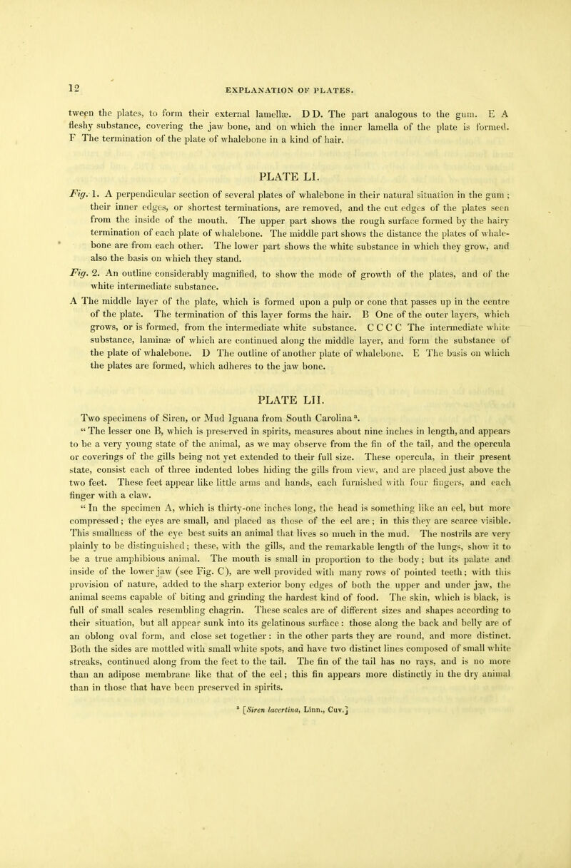 tween the plates, to form their external lamellae. D D. The part analogous to the gum. E A fleshy substance, covering the jaw bone, and on which the inner lamella of the plate is formed. F The termination of the plate of whalebone in a kind of hair. PLATE LI. Fig. 1. A perpendicular section of several plates of whalebone in their natural situation in the gum ; their inner edges, or shortest terminations, are removed, and the cut edges of the plates seen from the inside of the mouth. The upper part shows the rough surface formed by the hairy termination of each plate of whalebone. The middle part shows the distance the plates of whale- bone are from each other. The lower part shows the white substance in which they grow, and also the basis on which they stand. Fig. 2. An outline considerably magnified, to show the mode of growth of the plates, and of the white intermediate substance. A The middle layer of the plate, which is formed upon a pulp or cone that passes up in the centre of the plate. The termination of this layer forms the hair. B One of the outer layers, which grows, or is formed, from the intermediate white substance. C C C C The intermediate white substance, laminre of which are continued along the middle layer, and form the substance of the plate of whalebone. D The outline of another plate of whalebone. E The basis on which the plates are formed, which adheres to the jaw bone. PLATE LII. Two specimens of Siren, or Mud Iguana from South Carolina a. “ The lesser one B, which is preserved in spirits, measures about nine inches in length, and appears to be a very young state of the animal, as we may observe from the fin of the tail, and the opercula or coverings of the gills being not yet extended to their full size. These opercula, in their present state, consist each of three indented lobes hiding the gills from view, and are placed just above the two feet. These feet appear like little arms and hands, each furnished with four fingers, and each finger with a claw. “ In the specimen A, which is thirty-one inches long, the head is something like an eel, but more compressed; the eyes are small, and placed as those of the eel are; in this they are scarce visible. This smallness of the eye best suits an animal that lives so much in the mud. The nostrils are very plainly to be distinguished; these, with the gills, and the remarkable length of the lungs, show it to be a true amphibious animal. The mouth is small in proportion to the body; but its palate and inside of the lower jaw (see Fig. C), are well provided with many rows of pointed teeth; with this provision of nature, added to the sharp exterior bony edges of both the upper and under jaw, the animal seems capable of biting and grinding the hardest kind of food. The skin, which is black, is full of small scales resembling chagrin. These scales are of different sizes and shapes according to their situation, but all appear sunk into its gelatinous surface: those along the back and belly are of an oblong oval form, and close set together; in the other parts they are round, and more distinct. Both the sides are mottled with small white spots, and have two distinct lines composed of small white streaks, continued along from the feet to the tail. The fin of the tail has no rays, and is no more than an adipose membrane like that of the eel; this fin appears more distinctly in the dry animal than in those that have been preserved in spirits. [Siren lacertbia, Linn., Cuv.j