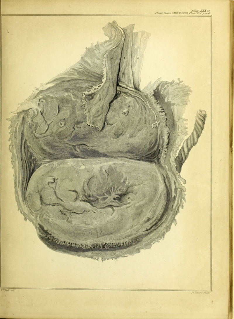 _ ' Plate AiAA VI Philos. Trans. MDCCCXSH. Plate XLV. />. 406.