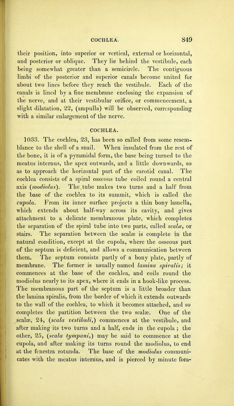 their position, into superior or vertical, external or horizontal, and posterior or oblique. They lie behind the vestibule, each being somewhat greater than a semicircle. The contiguous limbi of the posterior and superior canals become united for about two lines before they reach the vestibule. Each of the canals is lined by a fine membrane enclosing the expansion of the nerve, and at their vestibular orifice, or commencement, a slight dilatation, 22, (ampulla) will be observed, corresponding with a similar enlargement of the nerve. COCHLEA. 1033. The cochlea, 23, has been so called from some resem- blance to the shell of a snail. When insulated from the rest of the bone, it is of a pyramidal form, the base being turned to the meatus internus, the apex outwards, and a little downwards, so as to approach the horizontal part of the carotid canal. The cochlea consists of a spiral osseous tube coiled round a central axis (modiolus). The.tube makes two turns and a half from the base of the cochlea to its summit, which is called the cupola. From its inner surface projects a thin bony lamella, which extends about half-way across its cavity, and gives attachment to a delicate membranous plate, which completes the separation of the spiral tube into two parts, called scalce, or stairs. The separation between the scalse is complete in the natural condition, except at the cupola, where the osseous part of the septum is deficient, and allows a communication between them. The septum consists partly of a bony plate, partly of membrane. The former is usually named lamina spiralis; it commences at the base of the cochlea, and coils round the modiolus nearly to its apex, where it ends in a hook-like process. The membranous part of the septum is a little broader than the lamina spiralis, from the border of which it extends outwards to the wall of the cochlea, to which it becomes attached, and so completes the partition between the two scalte. One of the scalse, 24, (scala vestibuli,) commences at the vestibule, and after making its two turns and a half, ends in the cupola ; the other, 25, (scala tympani,) may be said to commence at the cupola, and after making its turns round the modiolus, to end at the fenestra rotunda. The base of the modiolus communi- cates with the meatus internus, and is pierced by minute fora-
