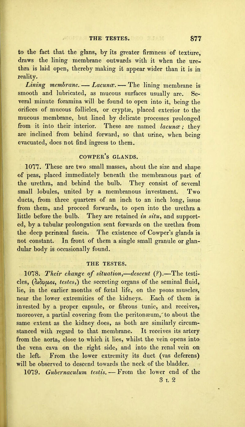 to the fact that the glans, by its greater firmness of texture, draws the lining membrane outwards with it when the ure- thra is laid open, thereby making it appear wider than it is in reality. Lining membrane. — Lacuna?. — The lining membrane is smooth and lubricated, as mucous surfaces usually are. Se- veral minute foramina will be found to open into it, being the orifices of mucous follicles, or cryptae, placed exterior to the mucous membrane, but lined by delicate processes prolonged from it into their interior. These are named lacunae; they are inclined from behind forward, so that urine, when being evacuated, does not find ingress to them. cowper's glands. 1077. These are two small masses, about the size and shape of peas, placed immediately beneath the membranous part of the urethra, and behind the bulb. They consist of several small lobules, united by a membranous investment. Two ducts, from three quarters of an inch to an inch long, issue from them, and proceed forwards, to open into the urethra a little before the bulb. They are retained in situ, and support- ed, by a tubular prolongation sent forwards on the urethra from the deep perinseal fascia. The existence of Cowper's glands is not constant. In front of them a single small granule or glan- dular body is occasionally found. THE TESTES. 1078. Their change of situation,—descent (?).—The testi- cles, (bthufbot, testes,) the secreting organs of the seminal fluid, lie, in the earlier months of foetal life, on the psoas muscles, near the lower extremities of the kidneys. Each of them is invested by a proper capsule, or fibrous tunic, and receives, moreover, a partial covering from the peritonaeum,'to about the same extent as the kidney does, as both are similarly circum- stanced with regard to that membrane. It receives its artery from the aorta, close to which it lies, whilst the vein opens into the vena cava on the right side, and into the renal vein on the left. From the lower extremity its duct (vas deferens) will be observed to descend towards the neck of the bladder. 1079. Gubernaculum testis.-—From the lower end of the 3i, 2