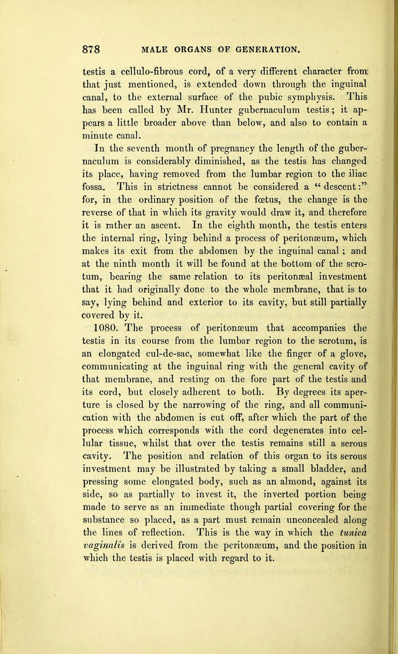 testis a cellulo-fibrous cord, of a very different character from: that just mentioned, is extended down through the inguinal canal, to the external surface of the pubic symphysis. This has been called by Mr. Hunter gubernaculum testis; it ap- pears a little broader above than below, and also to contain a minute canal. In the seventh month of pregnancy the length of the guber- naculum is considerably diminished, as the testis has changed its place, having removed from the lumbar region to the iliac fossa. This in strictness cannot be considered a  descent: for, in the ordinary position of the foetus, the change is the reverse of that in which its gravity would draw it, and therefore it is rather an ascent. In the eighth month, the testis enters the internal ring, lying behind a process of peritonaeum, which makes its exit from the abdomen by the inguinal canal ; and at the ninth month it will be found at the bottom of the scro- tum, bearing the same relation to its peritonseal investment that it had originally done to the whole membrane, that is to say, lying behind and exterior to its cavity, but still partially covered by it. 1080. The process of peritonaaum that accompanies the testis in its course from the lumbar region to the scrotum, is an elongated cul-de-sac, somewhat like the finger of a glove, communicating at the inguinal ring with the general cavity of that membrane, and resting on the fore part of the testis and its cord, but closely adherent to both. By degrees its aper- ture is closed by the narrowing of the ring, and all communi- cation with the abdomen is cut off, after which the part of the process which corresponds with the cord degenerates into cel- lular tissue, whilst that over the testis remains still a serous cavity. The position and relation of this organ to its serous investment may be illustrated by taking a small bladder, and pressing some elongated body, such as an almond, against its side, so as partially to invest it, the inverted portion being made to serve as an immediate though partial covering for the substance so placed, as a part must remain unconcealed along the lines of reflection. This is the way in which the tunica vaginalis is derived from the peritonaeum, and the position in which the testis is placed with regard to it.