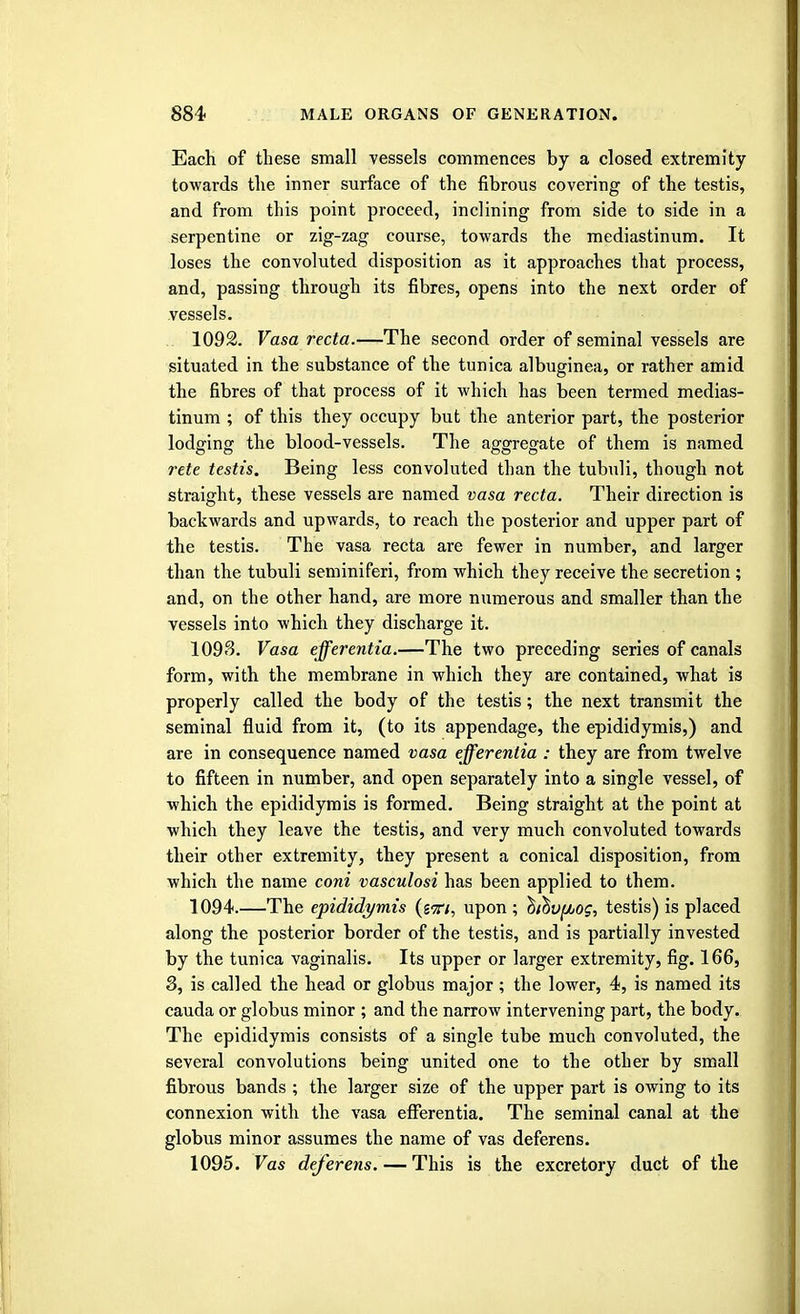 Each of these small vessels commences by a closed extremity towards the inner surface of the fibrous covering of the testis, and from this point proceed, inclining from side to side in a serpentine or zig-zag course, towards the mediastinum. It loses the convoluted disposition as it approaches that process, and, passing through its fibres, opens into the next order of vessels. 1092. Vasa recta.—The second order of seminal vessels are situated in the substance of the tunica albuginea, or rather amid the fibres of that process of it which has been termed medias- tinum ; of this they occupy but the anterior part, the posterior lodging the blood-vessels. The aggregate of them is named rete testis. Being less convoluted than the tubuli, though not straight, these vessels are named vasa recta. Their direction is backwards and upwards, to reach the posterior and upper part of the testis. The vasa recta are fewer in number, and larger than the tubuli seminiferi, from which they receive the secretion ; and, on the other hand, are more numerous and smaller than the vessels into which they discharge it. 1093. Vasa efferentia.—The two preceding series of canals form, with the membrane in which they are contained, what is properly called the body of the testis; the next transmit the seminal fluid from it, (to its appendage, the epididymis,) and are in consequence named vasa efferentia : they are from twelve to fifteen in number, and open separately into a single vessel, of which the epididymis is formed. Being straight at the point at which they leave the testis, and very much convoluted towards their other extremity, they present a conical disposition, from which the name coni vasculosi has been applied to them. 1094. —The epididymis (ski, upon ; ^ihvfiog, testis) is placed along the posterior border of the testis, and is partially invested by the tunica vaginalis. Its upper or larger extremity, fig. 166, 3, is called the head or globus major; the lower, 4, is named its cauda or globus minor ; and the narrow intervening part, the body. The epididymis consists of a single tube much convoluted, the several convolutions being united one to the other by small fibrous bands ; the larger size of the upper part is owing to its connexion with the vasa efferentia. The seminal canal at the globus minor assumes the name of vas deferens. 1095. Vas deferens. — This is the excretory duct of the