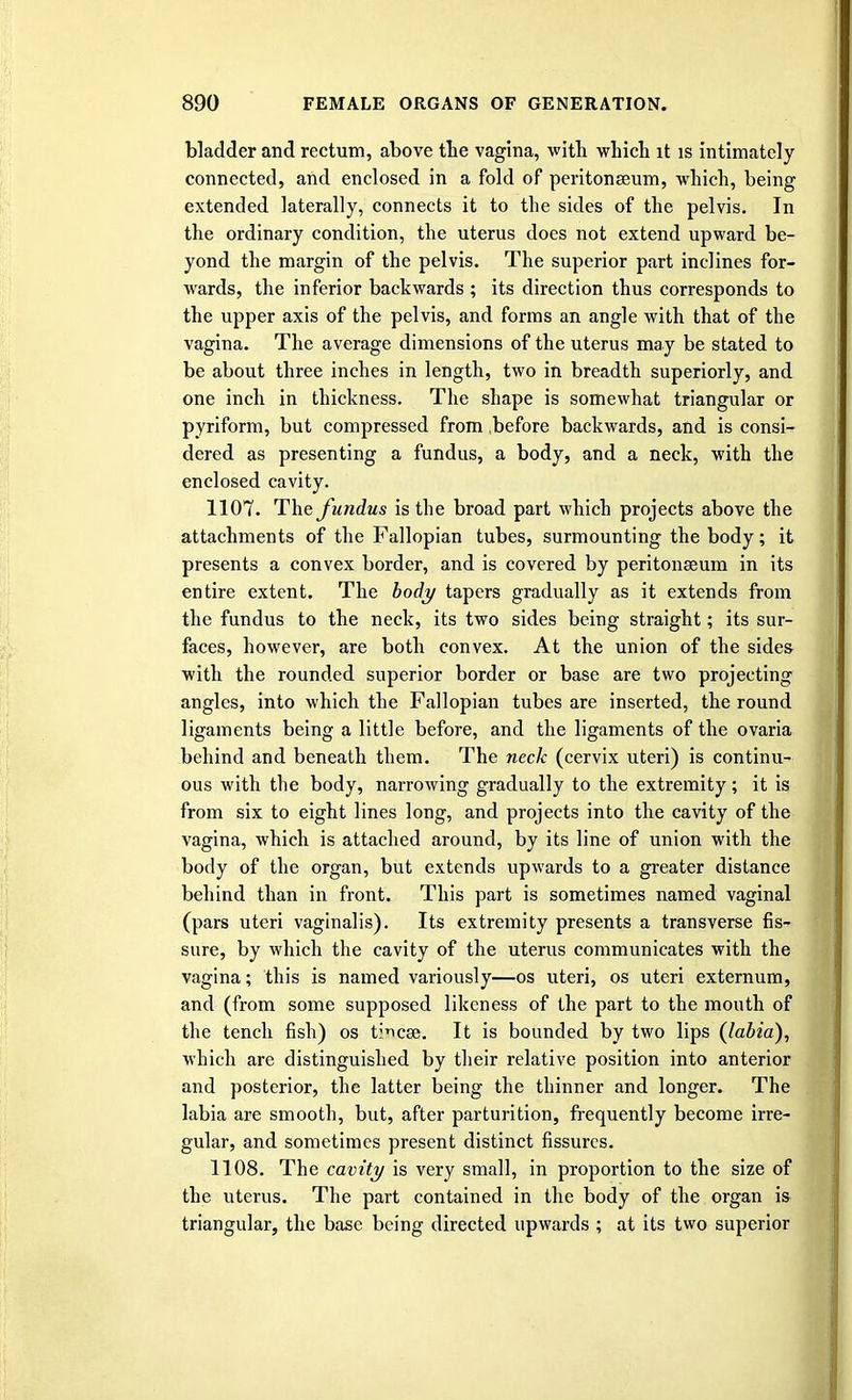 bladder and rectum, above the vagina, with which it is intimately connected, and enclosed in a fold of peritonaeum, which, being extended laterally, connects it to the sides of the pelvis. In the ordinary condition, the uterus does not extend upward be- yond the margin of the pelvis. The superior part inclines for- wards, the inferior backwards ; its direction thus corresponds to the upper axis of the pelvis, and forms an angle with that of the vagina. The average dimensions of the uterus may be stated to be about three inches in length, two in breadth superiorly, and one inch in thickness. The shape is somewhat triangular or pyriform, but compressed from before backwards, and is consi- dered as presenting a fundus, a body, and a neck, with the enclosed cavity. 1107. The fundus is the broad part which projects above the attachments of the Fallopian tubes, surmounting the body; it presents a convex border, and is covered by peritonaeum in its entire extent. The body tapers gradually as it extends from the fundus to the neck, its two sides being straight; its sur- faces, however, are both convex. At the union of the sides with the rounded superior border or base are two projecting angles, into which the Fallopian tubes are inserted, the round ligaments being a little before, and the ligaments of the ovaria behind and beneath them. The neck (cervix uteri) is continu- ous with the body, narrowing gradually to the extremity; it is from six to eight lines long, and projects into the cavity of the vagina, which is attached around, by its line of union with the body of the organ, but extends upwards to a greater distance behind than in front. This part is sometimes named vaginal (pars uteri vaginalis). Its extremity presents a transverse fis- sure, by which the cavity of the uterus communicates with the vagina; this is named variously—os uteri, os uteri externum, and (from some supposed likeness of the part to the mouth of the tench fish) os ti^cse. It is bounded by two lips (labia), which are distinguished by their relative position into anterior and posterior, the latter being the thinner and longer. The labia are smooth, but, after parturition, frequently become irre- gular, and sometimes present distinct fissures. 1108. The cavity is very small, in proportion to the size of the uterus. The part contained in the body of the organ is triangular, the base being directed upwards ; at its two superior