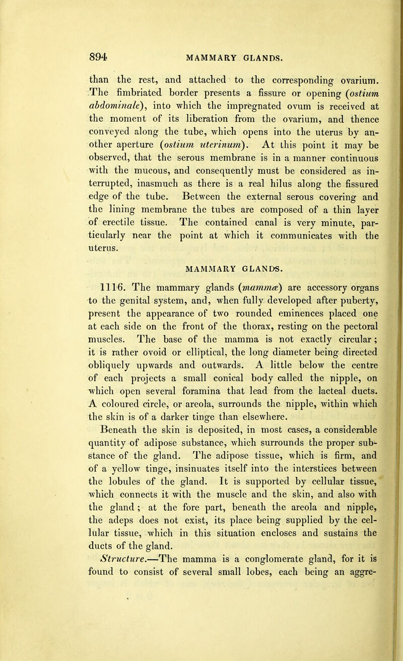 than the rest, and attached to the corresponding ovarium. The fimbriated border presents a fissure or opening (ostium abdominale), into which the impregnated ovum is received at the moment of its liberation from the ovarium, and thence conveyed along the tube, which opens into the uterus by an- other aperture (ostium uterinum). At this point it may be observed, that the serous membrane is in a manner continuous with the mucous, and consequently must be considered as in- terrupted, inasmuch as there is a real hilus along the fissured edge of the tube. Between the external serous covering and the lining membrane the tubes are composed of a thin layer of erectile tissue. The contained canal is very minute, par- ticularly near the point at which it communicates with the uterus. MAMMARY GLANDS. 1116. The mammary g-lands (mammez) are accessory organs to the genital system, and, when fully developed after puberty, present the appearance of two rounded eminences placed one at each side on the front of the thorax, resting on the pectoral muscles. The base of the mamma is not exactly circular; it is rather ovoid or elliptical, the long diameter being directed obliquely upwards and outwards. A little below the centre of each projects a small conical body called the nipple, on which open several foramina that lead from the lacteal ducts. A coloured circle, or areola, surrounds the nipple, within which the skin is of a darker tinge than elsewhere. Beneath the skin is deposited, in most cases, a considerable quantity of adipose substance, which surrounds the proper sub- stance of the gland. The adipose tissue, which is firm, and of a yellow tinge, insinuates itself into the interstices between the lobides of the gland. It is supported by cellular tissue, which connects it with the muscle and the skin, and also with the gland ; at the fore part, beneath the areola and nipple, the adeps does not exist, its place being supplied by the cel- lular tissue, which in this situation encloses and sustains the ducts of the gland. Structure.—The mamma is a conglomerate gland, for it is found to consist of several small lobes, each being an aggre-