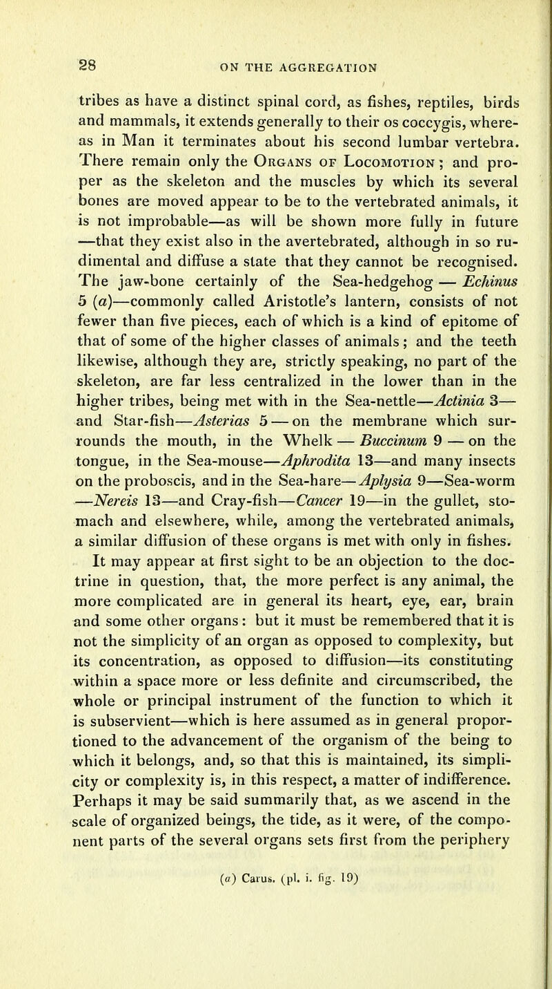 tribes as have a distinct spinal cord, as fishes, reptiles, birds and mammals, it extends generally to their os coccygis, where- as in Man it terminates about his second lumbar vertebra- There remain only the Organs or Locomotion ; and pro- per as the skeleton and the muscles by which its several bones are moved appear to be to the vertebrated animals, it is not improbable—as will be shown more fully in future —that they exist also in the avertebrated, although in so ru- dimental and diffuse a slate that they cannot be recognised. The jaw-bone certainly of the Sea-hedgehog — Echinus 5 (a)—commonly called Aristotle's lantern, consists of not fewer than five pieces, each of which is a kind of epitome of that of some of the higher classes of animals ; and the teeth likewise, although they are, strictly speaking, no part of the skeleton, are far less centralized in the lower than in the higher tribes, being met with in the Sea-nettle—Actinia 3— and Star-fish—Asterias 5 — on the membrane which sur- rounds the mouth, in the Whelk — Buccinum 9 — on the tongue, in the Sea-mouse—Aphrodita 13—and many insects on the proboscis, and in the Sea-hare—Aplysia 9—Sea-worm —Nereis 13—and Cray-fish—Cancer 19—in the gullet, sto- mach and elsewhere, while, among the vertebrated animals, a similar diffusion of these organs is met with only in fishes. It may appear at first sight to be an objection to the doc- trine in question, that, the more perfect is any animal, the more complicated are in general its heart, eye, ear, brain and some other organs : but it must be remembered that it is not the simplicity of an organ as opposed to complexity, but its concentration, as opposed to diffusion—its constituting within a space more or less definite and circumscribed, the whole or principal instrument of the function to which it is subservient—which is here assumed as in general propor- tioned to the advancement of the organism of the being to which it belongs, and, so that this is maintained, its simpli- city or complexity is, in this respect, a matter of indifference. Perhaps it may be said summarily that, as we ascend in the scale of organized beings, the tide, as it were, of the compo- nent parts of the several organs sets first from the periphery