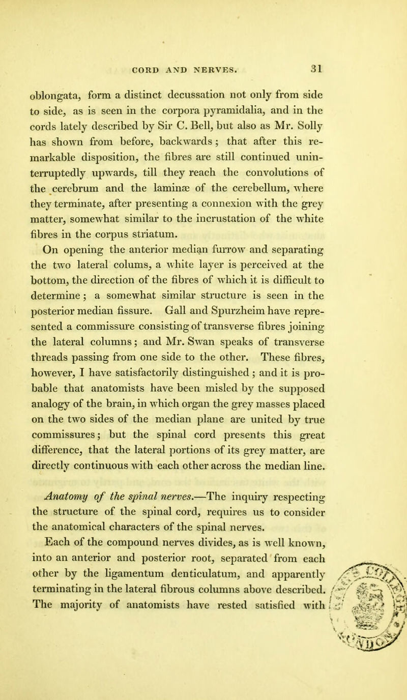 oblongata, form a distinct decussation not only from side to side, as is seen in the corpora pyramidalia, and in the cords lately described by Sir C. Bell, but also as Mr. Solly has shown from before, backwards ; that after this re- markable disposition, the fibres are still continued unin- terruptedly upwards, till they reach the convolutions of the cerebrum and the laminae of the cerebellum, where they terminate, after presenting a connexion with the grey matter, somewhat similar to the incrustation of the white fibres in the corpus striatum. On opening the anterior median furrow and separating the two lateral colums, a white layer is perceived at the bottom, the direction of the fibres of which it is difficult to determine ; a somewhat similar structure is seen in the posterior median fissure. Gall and Spurzheim have repre- sented a commissure consisting of transverse fibres joining the lateral columns; and Mr. Swan speaks of transverse threads passing from one side to the other. These fibres, however, I have satisfactorily distinguished ; and it is pro- bable that anatomists have been misled by the supposed analogy of the brain, in which organ the grey masses placed on the two sides of the median plane are united by true commissures; but the spinal cord presents this great difference, that the lateral portions of its grey matter, are directly continuous with each other across the median line. Anatomy of the spinal nerves.—The inquiry respecting the structure of the spinal cord, requires us to consider the anatomical characters of the spinal nerves. Each of the compound nerves divides, as is well known, into an anterior and posterior root, separated from each other by the ligamentum denticulatum, and apparently . terminating in the lateral fibrous columns above described. / *•*•''' >■? % T^'N The majority of anatomists have rested satisfied with ' Cjj!