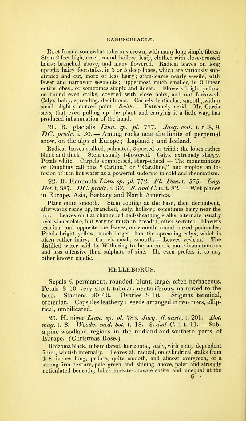 Root from a somewhat tuberous crown, with many long simple fibres. Stem 2 feet high, erect, round, hollow, leafy, clothed with close-pressed hairs; branched above, and many flowered. Radical leaves on long upright hairy footstalks, in 3 or 5 deep lobes, which are variously sub- divided and cut, more or less hairy; stem-leaves nearly sessile, with fewer and narrower segments; uppermost much smaller, in 3 linear entire lobes ; or sometimes simple and linear. Flowers bright yellow, on round even stalks, covered with close hairs, and not furrowed. Calyx hairy, spreading, deciduous. Carpels lenticular, smooth,,with a small slightly curved point. Smith. — Extremely acrid. Mr. Curtis says, that even pulling up the plant and carrying it a little way, has produced inflammation of the hand. 21. R. glacialis Linn. sp. pi. 777. Jacq. coll. i. t .8, 9. DC. prodr. i. 30. — Among rocks near the limits of perpetual snow, on the alps of Europe ; Lapland ; and Iceland. Radical leaves stalked, palmated, 3-parted or trifid; the lobes rather blunt and thick, Stem usually 1-flowered. Calyx extremely shaggy. Petals white. Carpels compressed, sharp-edged. — The mountaineers of Dauphiny call this  Carline, or  Caralline, and employ an in- fusion of it in hot water as a powerful sudorific in cold and rheumatism. 22. R. Flammula Linn. sp. pi. 772. Fl. Dan. t. 575. Eng. Bot. t. 387. DC. prodr. i. 32. S. and C. ii. t. 82. — Wet places in Europe, Asia, Barbary and North America. Plant quite smooth. Stem rooting at the base, then decumbent, afterwards rising up, branched, leafy, hollow; sometimes hairy near the top. Leaves on flat channelled half-sheathing stalks, alternate usually ovate-lanceolate, but varying much in breadth, often serrated. Flowers terminal and opposite the leaves, on smooth round naked peduncles. Petals bright yellow, much larger than the spreading calyx, which is often rather hairy. Carpels small, smooth. — Leaves vesicant. The distilled water said by Withering to be an emetic more instantaneous and less offensive than sulphate of zinc. He even prefers it to any other known emetic. HELLEBORUS. Sepals 5, permanent, rounded, blunt, large, often herbaceous. Petals 8-10, very short, tubular, nectariferous, narrowed to the base. Stamens 30-60. Ovaries 3-10. Stigmas terminal, orbicular. Capsules leathery ; seeds arranged in two rows, ellip- tical, umbilicated. 23. H. niger Linn. sp. pi. 783. Jacq. fl. austr. t. 201. Bot. mag. t. 8. Woodv. med. bot. t. 18. S. and C. i. t. 'll. — Sub- alpine woodland regions in the midland and southern parts of Europe. (Christmas Rose.) Rhizoma black, tuberculated, horizontal, scaly, with many dependent fibres, whitish internally. Leaves all radical, on cylindrical stalks from 4-8 inches long, pedate, quite smooth, and almost evergreen, of a strong firm texture, pale green and shining above, paler and strongly reticulated beneath; lobes cuneate-obovate entire and unequal at the