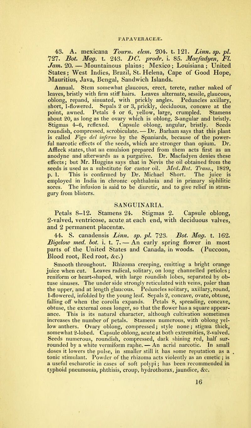 43. A. mexicana Tourn. elem. 204. t. 121. Linn.sp.pl. 727. Bot. Mag. t. 243. DC. prodr. i. 85. Macfadyen, Fl. Jam. 20. — Mountainous plains; Mexico ; Louisiana ; United States; West Indies, Brazil, St. Helena, Cape of Good Hope, Mauritius, Java, Bengal, Sandwich Islands. Annual. Stem somewhat glaucous, erect, terete, rather naked of leaves, bristly with firm stiff hairs. Leaves alternate, sessile, glaucous, oblong, repand, sinuated, with prickly angles. Peduncles axillary, short, 1-flowered. Sepals 2 or 3, prickly, deciduous, concave at the point, awned. Petals 4 or 6, yellow, large, crumpled. Stamens about 20, as long as the ovary which is oblong, 3-angular and bristly. Stigmas 4-6, reflexed. Capsule oblong, angular, bristly. Seeds roundish, compressed, scrobiculate. — Dr. Barham says that this plant is called Figo del inferno by the Spaniards, because of the power- ful narcotic effects of the seeds, which are stronger than opium. Dr. Affleck states, that an emulsion prepared from them acts first as an anodyne and afterwards as a purgative. Dr. Macfadyen denies these effects; but Mr. Huggins says that in Nevis the oil obtained from the seeds is used as a substitute for castor oil. Med.Bot. Trans., 1829, p. 1. This is confirmed by Dr. Michael Short. The juice is employed in India in chronic ophthalmia and in primary siphilitic sores. The infusion is said to be diuretic, and to give relief in stran- gury from blisters. SANGUINARIA. Petals 8-12. Stamens 24. Stigmas 2. Capsule oblong, 2-valved, ventricose, acute at each end, with deciduous valves, and 2 permanent placentae. 44. S. canadensis Linn. sp. pi. 723. Bot. Mag. t. 162. Bigelow med. bot. i. t. 7. — An early spring flower in most parts of the United States and Canada, in woods. (Puccoon, Blood root, Red root, &c.) Smooth throughout. Rhizoma creeping, emitting a bright orange juice when cut. Leaves radical, solitary, on long channelled petioles; reniform or heart-shaped, with large roundish lobes, separated by ob- tuse sinuses. The underside strongly reticulated with veins, paler than the upper, and at length glaucous. Peduncles solitary, axillary, round, 1-flowered, infolded by the young leaf. Sepals 2, concave, ovate, obtuse, falling off when the corolla expands. Petals 8, spreading, concave, obtuse, the external ones longer, so that the flower has a square appear- ance. This is its natural character, although cultivation sometimes increases the number of petals. Stamens numerous, with oblong yel- low anthers. Ovary oblong, compressed; style none; stigma thick, somewhat 2-lobed. Capsule oblong, acute at both extremities, 2-valved. Seeds numerous, roundish, compressed, dark shining red, half sur- rounded by a white vermiform raphe. — An acrid narcotic. In small doses it lowers the pulse, in smaller still it has some reputation as a tonic stimulant. Powder of the rhizoma acts violently as an emetic; is a useful escharotic in cases of soft polypi; has been recommended in typhoid pneumonia, phthisis, croup, hydrothorax, jaundice, &c.