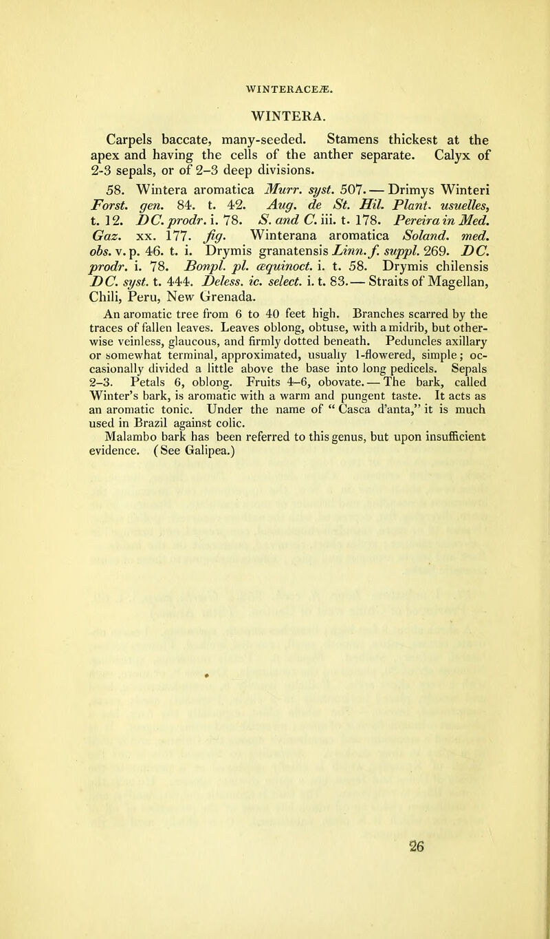 WINTERA. Carpels baccate, many-seeded. Stamens thickest at the apex and having the cells of the anther separate. Calyx of 2-3 sepals, or of 2-3 deep divisions. 58. Wintera aromatica Murr. syst. 507. — Drimys Winteri Forst. gen. 84. t. 42. Aug. de St. HiL Plant, usuelles, t. 12. DC. prodr. i. 78. S. and C. iii. t. 178. Pereira in Med. Gaz. xx. 177. fig. Winterana aromatica Soland. wed. obs. v. p. 46. t. i. Drymis granatensis Linn.f. suppl. 269. DC. prodr. i. 78. Bonpl. pi. cequinoct. i. t. 58. Drymis chilensis DC. syst. t. 444. Deless. ic. select, i. t. 83.— Straits of Magellan, Chili, Peru, New Grenada. An aromatic tree from 6 to 40 feet high. Branches scarred by the traces of fallen leaves. Leaves oblong, obtuse, with a midrib, but other- wise veinless, glaucous, and firmly dotted beneath. Peduncles axillary or somewhat terminal, approximated, usually 1-flowered, simple; oc- casionally divided a little above the base into long pedicels. Sepals 2-3. Petals 6, oblong. Fruits 4-6, obovate. — The bark, called Winter's bark, is aromatic with a warm and pungent taste. It acts as an aromatic tonic. Under the name of  Casca d'anta, it is much used in Brazil against colic. Malambo bark has been referred to this genus, but upon insufficient evidence. (See Galipea.)