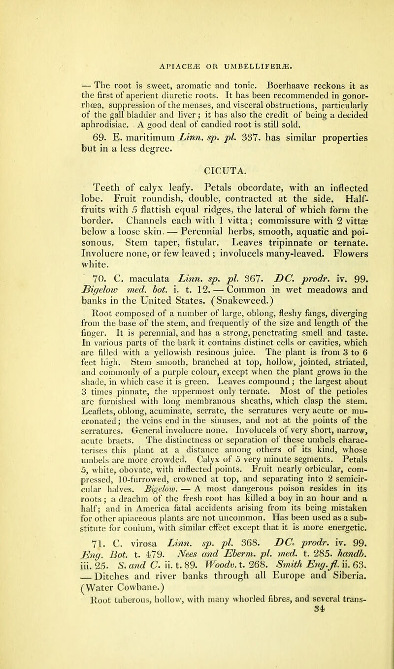 — The root is sweet, aromatic and tonic. Boerhaave reckons it as the first of aperient diuretic roots. It has been recommended in gonor- rhoea, suppression of the menses, and visceral obstructions, particularly of the gall bladder and liver; it has also the credit of being a decided aphrodisiac. A good deal of candied root is still sold. 69. E. maritimum Linn. sp. pi. 337. has similar properties but in a less degree. CICUTA. Teeth of calyx leafy. Petals obcordate, with an inflected lobe. Fruit roundish, double, contracted at the side. Half- fruits with 5 flattish equal ridges, the lateral of which form the border. Channels each with 1 vitta; commissure with 2 vittae below a loose skin. — Perennial herbs, smooth, aquatic and poi- sonous. Stem taper, fistular. Leaves tripinnate or ternate. Involucre none, or few leaved ; involucels many-leaved. Flowers white. 70. C. maculata Linn. sp. pi. 367. DC. prodr. iv. 99. Eigelow med. hot. i. t. 12.— Common in wet meadows and banks in the United States. (Snakeweed.) Root composed of a number of large, oblong, fleshy fangs, diverging from the base of the stem, and frequently of the size and length of the finger. It is perennial, and has a strong, penetrating smell and taste. In various parts of the bark it contains distinct cells or cavities, which are filled with a yellowish resinous juice. The plant is from 3 to 6 feet high. Stem smooth, branched at top, hollow, jointed, striated, and commonly of a purple colour, except when the plant grows in the shade, in which case it is green. Leaves compound ; the largest about 3 times pinnate, the uppermost only ternate. Most of the petioles are furnished with long membranous sheaths, which clasp the stem. Leaflets, oblong, acuminate, serrate, the serratures very acute or mu- cronated; the veins end in the sinuses, and not at the points of the serratures. General involucre none. Involucels of very short, narrow, acute bracts. The distinctness or separation of these umbels charac- terises this plant at a distance among others of its kind, whose umbels are more crowded. Calyx of 5 very minute segments. Petals 5, white, obovate, with inflected points. Fruit nearly orbicular, com- pressed, 10-furrowed, crowned at top, and separating into 2 semicir- cular halves. Bigclow. — A most dangerous poison resides in its roots; a drachm of the fresh root has killed a boy in an hour and a half; and in America fatal accidents arising from its being mistaken for other apiaceous plants are not uncommon. Has been used as a sub- stitute for conium, with similar effect except that it is more energetic. 71. C. virosa Linn. sp. pi. 368. DC. prodr. iv. 99. Eng. Bot. t. 479. Nees and Eberm. pi. med. t. 285. handb. iii. 25. S. and C. ii. t. 89. Woodv. t. 268. Smith Eng.fi. ii. 63. Ditches and river banks through all Europe and Siberia. (Water Cowbane.) Root tuberous, hollow, with many whorled fibres, and several trans-