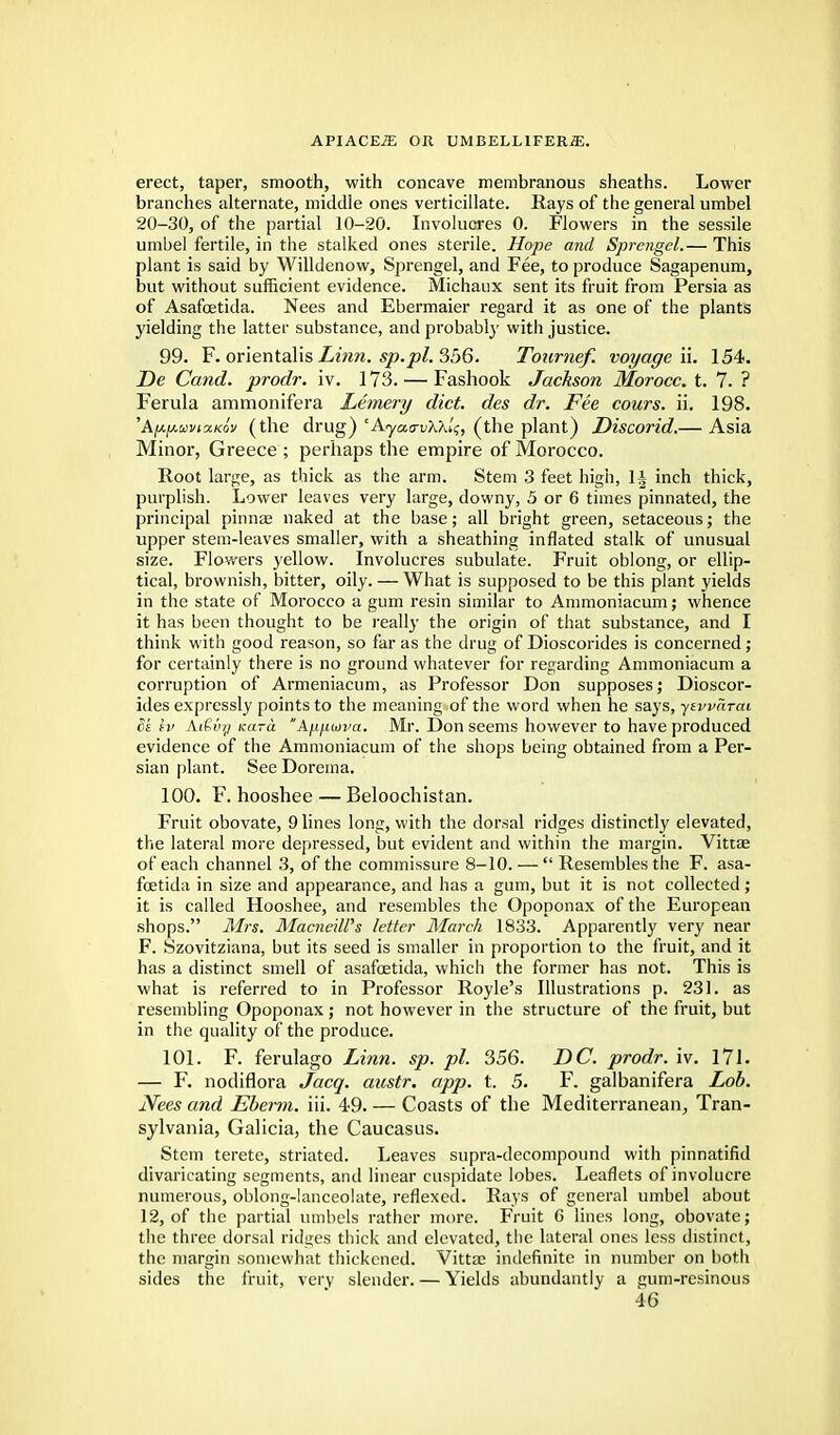 erect, taper, smooth, with concave membranous sheaths. Lower branches alternate, middle ones verticillate. Rays of the general umbel 20-30, of the partial 10-20. Involucres 0. Flowers in the sessile umbel fertile, in the stalked ones sterile. Hope and Sprengel.— This plant is said by Willdenow, Sprengel, and Fee, to produce Sagapenum, but without sufficient evidence. Michaux sent its fruit from Persia as of Asafcetida. Nees and Ebermaier regard it as one of the plants yielding the latter substance, and probably with justice. 99. F. orientalis Linn, sp.pl. 356. Tonrnef. voyage ii. 154. De Cand. prodr. iv. 173. — Fashook Jackson Morocc. t. 7. ? Ferula ammonifera Lemery diet, des dr. Fee cours. ii. 198. 'A^covixkov (the drug) 'Ayaa-vXX'^, (the plant) Discorid.— Asia Minor, Greece ; perhaps the empire of Morocco. Root large, as thick as the arm. Stem 3 feet high, inch thick, purplish. Lower leaves very large, downy, 5 or 6 times pinnated, the principal pinnae naked at the base; all bright green, setaceous; the upper stem-leaves smaller, with a sheathing inflated stalk of unusual size. Flowers yellow. Involucres subulate. Fruit oblong, or ellip- tical, brownish, bitter, oily. — What is supposed to be this plant yields in the state of Morocco a gum resin similar to Ammoniacum; whence it has been thought to be really the origin of that substance, and I think with good reason, so far as the drug of Dioscorides is concerned; for certainly there is no ground whatever for regarding Ammoniacum a corruption of Armeniacum, as Professor Don supposes; Dioscor- ides expressly points to the meaning of the word when he says, ytvvarai 8k lv Ai€v/j Kara Afifnova. Mr. Don seems however to have produced evidence of the Ammoniacum of the shops being obtained from a Per- sian plant. See Dorema. 100. F. hooshee — Beloochistan. Fruit obovate, 9 lines long, with the dorsal ridges distinctly elevated, the lateral more depressed, but evident and within the margin. Vittae of each channel 3, of the commissure 8-10. —  Resembles the F. asa- fcetida in size and appearance, and has a gum, but it is not collected; it is called Hooshee, and resembles the Opoponax of the European shops. Mrs. MacnciWs letter March 1833. Apparently very near F. Szovitziana, but its seed is smaller in proportion to the fruit, and it has a distinct smell of asafcetida, which the former has not. This is what is referred to in Professor Royle's Illustrations p. 231. as resembling Opoponax; not however in the structure of the fruit, but in the quality of the produce. 101. F. ferulago Linn. sp. pi. 356. DC. prodr. iv. 171. — F. nodiflora Jacq. austr. app. t. 5. F. galbanifera Lob. Nees and Eberm. iii. 49. — Coasts of the Mediterranean, Tran- sylvania, Galicia, the Caucasus. Stem terete, striated. Leaves supra-decompound with pinnatifid divaricating segments, and linear cuspidate lobes. Leaflets of involucre numerous, oblong-lanceolate, reflexed. Rays of general umbel about 12, of the partial umbels rather more. Fruit 6 lines long, obovate; the three dorsal ridges thick and elevated, the lateral ones less distinct, the margin somewhat thickened. Vitta; indefinite in number on both sides the fruit, very slender. — Yields abundantly a gum-resinous