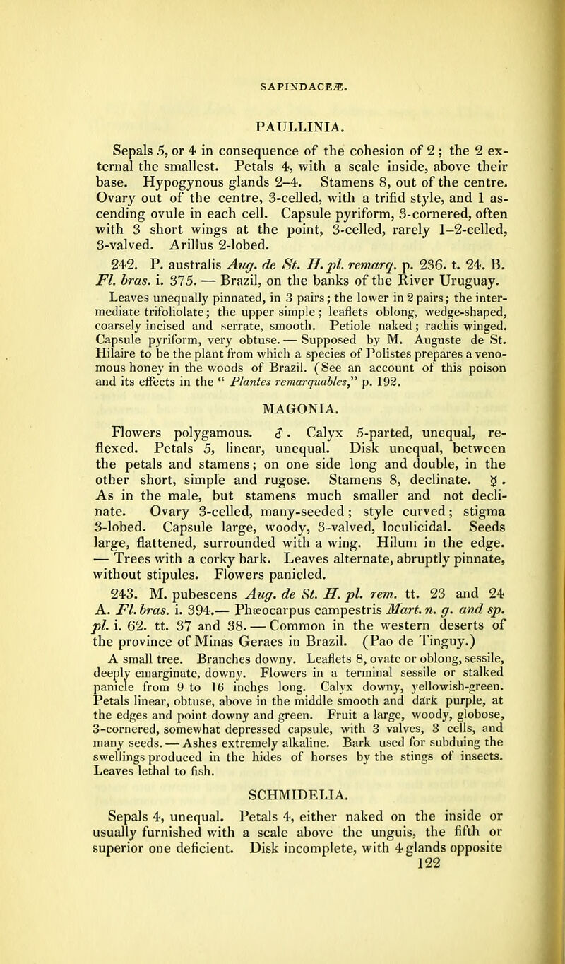 PAULLINIA. Sepals 5, or 4 in consequence of the cohesion of 2 ; the 2 ex- ternal the smallest. Petals 4, with a scale inside, above their base. Hypogynous glands 2-4. Stamens 8, out of the centre. Ovary out of the centre, 3-celled, with a trifid style, and 1 as- cending ovule in each cell. Capsule pyriform, 3-cornered, often with 3 short wings at the point, 3-celled, rarely 1-2-celled, 3-valved. Arillus 2-lobed. 242. P. australis Aug. de St. B. pi. remarq. p. 236. t. 24. B. Fl. bras. i. 375. — Brazil, on the banks of the River Uruguay. Leaves unequally pinnated, in 3 pairs; the lower in 2 pairs; the inter- mediate trifoliolate; the upper simple; leaflets oblong, wedge-shaped, coarsely incised and serrate, smooth. Petiole naked; rachis winged. Capsule pyriform, very obtuse. — Supposed by M. Auguste de St. Hilaire to be the plant from which a species of Polistes prepares a veno- mous honey in the woods of Brazil. (See an account of this poison and its effects in the  Plantes remarquables p. 192. MAGONIA. Flowers polygamous. $. Calyx 5-parted, unequal, re- flexed. Petals 5, linear, unequal. Disk unequal, between the petals and stamens; on one side long and double, in the other short, simple and rugose. Stamens 8, declinate. g . As in the male, but stamens much smaller and not decli- nate. Ovary 3-celled, many-seeded; style curved; stigma 3-lobed. Capsule large, woody, 3-valved, loculicidal. Seeds large, flattened, surrounded with a wing. Hilum in the edge. — Trees with a corky bark. Leaves alternate, abruptly pinnate, without stipules. Flowers panicled. 243. M. pubescens Aug. de St. H. pi. rem. tt. 23 and 24 A. Fl. bras. i. 394.— Phsocarpus campestris Mart. n. g. and sp. pi. i. 62. tt. 37 and 38. — Common in the western deserts of the province of Minas Geraes in Brazil. (Pao de Tinguy.) A small tree. Branches downy. Leaflets 8, ovate or oblong, sessile, deeply emarginate, downy. Flowers in a terminal sessile or stalked panicle from 9 to 16 inches long. Calyx downy, yellowish-green. Petals linear, obtuse, above in the middle smooth and dark purple, at the edges and point downy and green. Fruit a large, woody, globose, 3-cornered, somewhat depressed capsule, with 3 valves, 3 cells, and many seeds. — Ashes extremely alkaline. Bark used for subduing the swellings produced in the hides of horses by the stings of insects. Leaves lethal to fish. SCHMIDELIA. Sepals 4, unequal. Petals 4, either naked on the inside or usually furnished with a scale above the unguis, the fifth or superior one deficient. Disk incomplete, with 4 glands opposite
