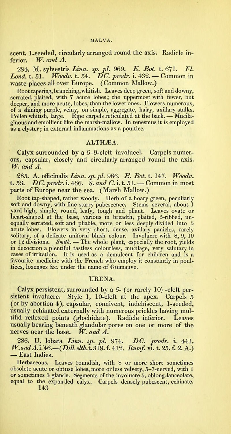 MALVA. scent, 1-seeded, circularly arranged round the axis. Radicle in- ferior. W. and A. 284. M. sylvestris Linn. sp. pi. 969. E. Bot. t. 671. Fl. Lond. t. 51. Woodv. t. 54. DC. prodr. i. 432. — Common in waste places all over Europe. (Common Mallow.) Root tapering, branching, whitish. Leaves deep green, soft and downy, serrated, plaited, with 7 acute lobes; the uppermost with fewer, but deeper, and more acute, lobes, than the lower ones. Flowers numerous, of a shining purple, veiny, on simple, aggregate, hairy, axillary stalks. Pollen whitish, large. Ripe carpels reticulated at the back. — Mucila- ginous and emollient like the marsh-mallow. In tenesmus it is employed as a clyster; in external inflammations as a poultice. ALTKLEA. Calyx surrounded by a 6-9-cleft involucel. Carpels numer- ous, capsular, closely and circularly arranged round the axis. W. and A. 285. A. officinalis Linn. sp. pi. 966. E. Bot. t. 147. Woodv. t. 53. DC. prodr. i. 436. S. and C. i. t. 51. — Common in most parts of Europe near the sea. (Marsh Mallow.) Root tap-shaped, rather woody. Herb of a hoary green, peculiarly soft and downy, with fine starry pubescence. Stems several, about 1 yard high, simple, round, leafy, tough and pliant. Leaves ovate or heart-shaped at the base, various in breadth, plaited, 5-ribbed, un- equally serrated, soft and pliable, more or less deeply divided into 5 acute lobes. Flowers in very ! short, dense, axillary panicles, rarely solitary, of a delicate uniform blush colour. Involucre with 8, 9, 10 or 12 divisions. Smith. — The whole plant, especially the root, yields in decoction a plentiful tastless colourless, mucilage, very salutary in cases of irritation. It is used as a demulcent for children and is a favourite medicine with the French who employ it constantly in poul- tices, lozenges &c. under the name of Guimauve. URENA. Calyx persistent, surrounded by a 5- (or rarely 10) -cleft per- sistent involucre. Style 1, 10-cleft at the apex. Carpels 5 (or by abortion 4), capsular, connivent, indehiscent, 1-seeded, usually echinated externally with numerous prickles having mul- tifid reflexed points (glochidate). Radicle inferior. Leaves usually bearing beneath glandular pores on one or more of the nerves near the base. W. and A. 286. U. lobata Linn. sp. pi. 974. DC. prodr. i. 441. W.andAMm.—{Dill.elth.t.3\9. f. 412. Rumf. vi. t. 25. f. 2. A.) — East Indies. Herbaceous. Leaves roundish, with 8 or more short sometimes obsolete acute or obtuse lobes, more or less velvety, 5-7-nerved, with 1 or sometimes 3 glands. Segments of the involucre 5, oblong-lanceolate, equal to the expanded calyx. Carpels densely pubescent, echinate.