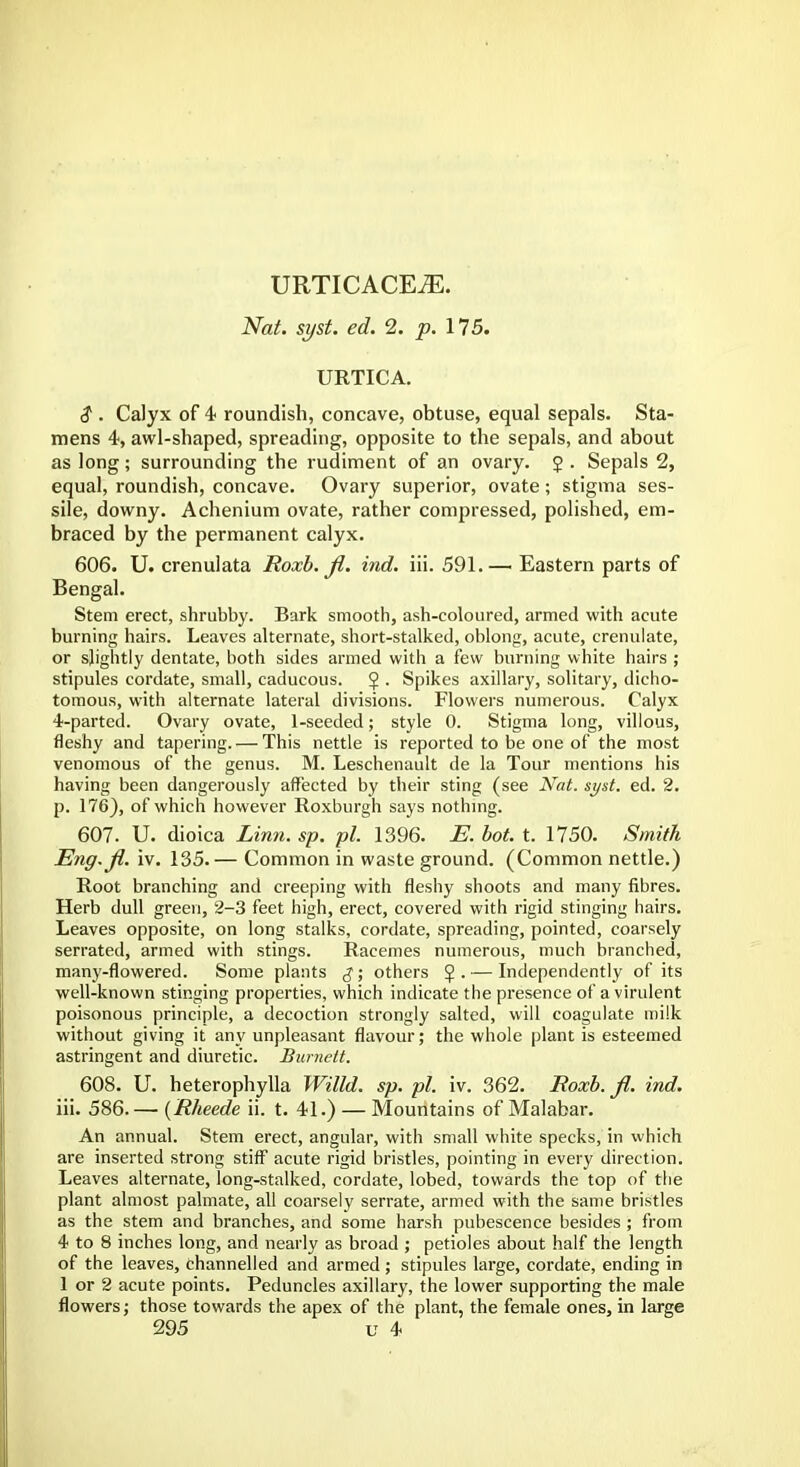 URTICACE^. Nat. syst. ed. 2. p. 175. URTICA. $ . Calyx of 4 roundish, concave, obtuse, equal sepals. Sta- mens 4, awl-shaped, spreading, opposite to the sepals, and about as long; surrounding the rudiment of an ovary. 2 . Sepals 2, equal, roundish, concave. Ovary superior, ovate; stigma ses- sile, downy. Achenium ovate, rather compressed, polished, em- braced by the permanent calyx. 606. U. crenulata Roxb. Ji. ind. iii. 591.— Eastern parts of Bengal. Stem erect, shrubby. Bark smooth, ash-coloured, armed with acute burning hairs. Leaves alternate, short-stalked, oblong, acute, crenulate, or slightly dentate, both sides armed with a few burning white hairs ; stipules cordate, small, caducous. 2 . Spikes axillary, solitary, dicho- tomous, with alternate lateral divisions. Flowers numerous. Calyx 4-parted. Ovary ovate, 1-seeded; style 0. Stigma long, villous, fleshy and tapering. — This nettle is reported to be one of the most venomous of the genus. M. Leschenault de la Tour mentions his having been dangerously affected by their sting (see Nat. syst. ed. 2. p. 176), of which however Roxburgh says nothing. 607. U. dioica Linn. sp. pi. 1396. E. hot. t. 1750. Smith Eng.Jl. iv. 135.— Common in waste ground. (Common nettle.) Root branching and creeping with fleshy shoots and many fibres. Herb dull green, 2-3 feet high, erect, covered with rigid stinging hairs. Leaves opposite, on long stalks, cordate, spreading, pointed, coarsely serrated, armed with stings. Racemes numerous, much branched, many-flowered. Some plants g; others 2 • — Independently of its well-known stinging properties, which indicate the presence of a virulent poisonous principle, a decoction strongly salted, will coagulate milk without giving it any unpleasant flavour; the whole plant is esteemed astringent and diuretic. Burnett. 608. U. heterophylla Willd. sp. pi. iv. 362. Roxb. fi. ind. iii. 586. — (Rheede ii. t. 41.) — Mountains of Malabar. An annual. Stem erect, angular, with small white specks, in which are inserted strong stiff acute rigid bristles, pointing in every direction. Leaves alternate, long-stalked, cordate, lobed, towards the top of the plant almost palmate, all coarsely serrate, armed with the same bristles as the stem and branches, and some harsh pubescence besides ; from 4 to 8 inches long, and nearly as broad ; petioles about half the length of the leaves, channelled and armed ; stipules large, cordate, ending in 1 or 2 acute points. Peduncles axillary, the lower supporting the male flowers; those towards the apex of the plant, the female ones, in large