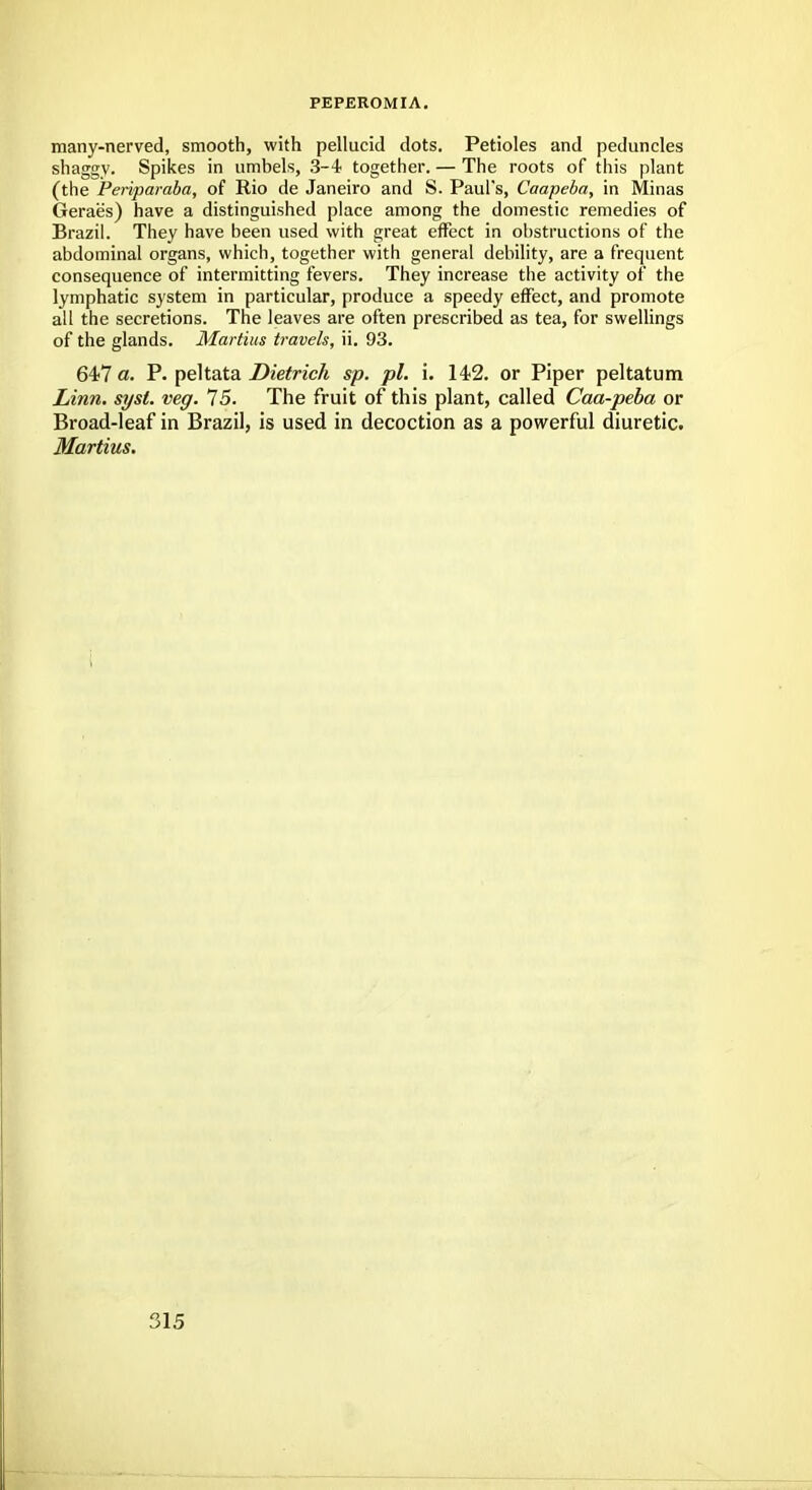 PEPEROMIA. many-nerved, smooth, with pellucid dots. Petioles and peduncles shaggy. Spikes in umbels, 3-4 together. — The roots of this plant (the Periparaba, of Rio de Janeiro and S. Paul's, Caapeba, in Minas Geraes) have a distinguished place among the domestic remedies of Brazil. They have been used with great effect in obstructions of the abdominal organs, which, together with general debility, are a frequent consequence of intermitting fevers. They increase the activity of the lymphatic system in particular, produce a speedy effect, and promote all the secretions. The leaves are often prescribed as tea, for swellings of the glands. Martius travels, ii. 93. 647 a. P- peltata Dietrich sp. pi. i. 142. or Piper peltatum Linn. syst. veg. 75. The fruit of this plant, called Caa-peba or Broad-leaf in Brazil, is used in decoction as a powerful diuretic. Martius.