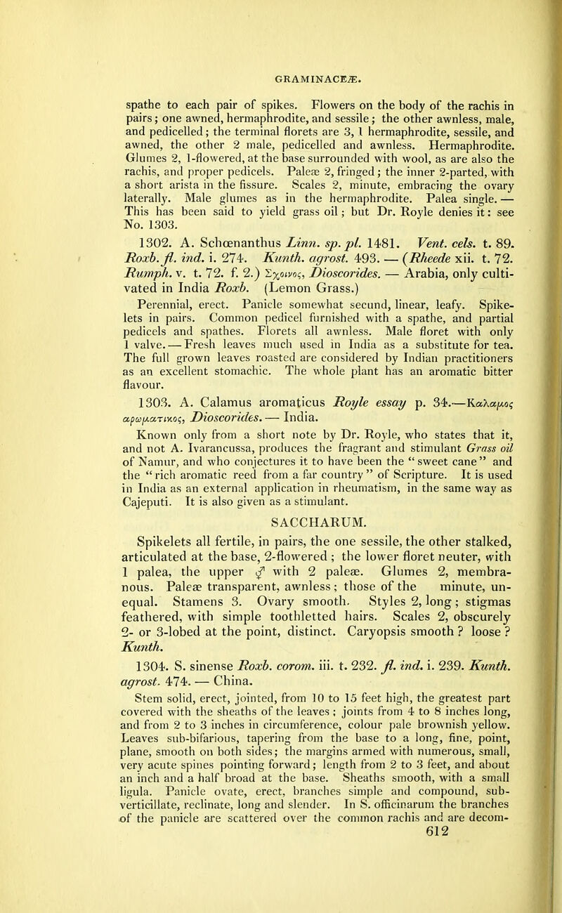 spathe to each pair of spikes. Flowers on the body of the rachis in pairs; one awned, hermaphrodite, and sessile; the other awnless, male, and pedicelled; the terminal florets are 3, I hermaphrodite, sessile, and awned, the other 2 male, pedicelled and awnless. Hermaphrodite. Glumes 2, 1-flowered, at the base surrounded with wool, as are also the rachis, and proper pedicels. Paleag 2, fringed; the inner 2-parted, with a short arista in the fissure. Scales 2, minute, embracing the ovary laterally. Male glumes as in the hermaphrodite. Palea single. — This has been said to yield grass oil; but Dr. Royle denies it: see No. 1303. 1302. A. Schcenanthus Linn, sp.pl. 1481. Vent. eels. t. 89. Roxb.fl. ind. i. 274. Kunth. agrost. 493. — (Rheede xii. t. 72. Rumph. v. t. 72. f. 2.) 2,%owo<;, Dioscorides. — Arabia, only culti- vated in India Roxb. (Lemon Grass.) Perennial, erect. Panicle somewhat secund, linear, leafy. Spike- lets in pairs. Common pedicel furnished with a spathe, and partial pedicels and spathes. Florets all awnless. Male floret with only 1 valve. — Fresh leaves much used in India as a substitute for tea. The full grown leaves roasted are considered by Indian practitioners as an excellent stomachic. The whole plant has an aromatic bitter flavour. 1303. A. Calamus aromaticus Royle essay p. 34.—KaXa^ apujAaTiKOt;, Dioscorides. — India. Known only from a short note by Dr. Royle, who states that it, and not A. Ivarancussa, produces the fragrant and stimulant Grass oil of Namur, and who conjectures it to have been the  sweet cane  and the rich aromatic reed from a far country of Scripture. It is used in India as an external application in rheumatism, in the same way as Cajeputi. It is also given as a stimulant. SACCHARUM. Spikelets all fertile, in pairs, the one sessile, the other stalked, articulated at the base, 2-flowered ; the lower floret neuter, with 1 palea, the upper $ with 2 paleae. Glumes 2, membra- nous. Paleae transparent, awnless ; those of the minute, un- equal. Stamens 3. Ovary smooth. Styles 2, long ; stigmas feathered, with simple toothletted hairs. Scales 2, obscurely 2- or 3-lobed at the point, distinct. Caryopsis smooth ? loose ? Kunth. 1304. S. sinense Roxb. eorom. iii. t. 232. fl. ind. i. 239. Kunth. agrost. 474. — China. Stem solid, erect, jointed, from 10 to 15 feet high, the greatest part covered with the sheaths of the leaves ; joints from 4 to 8 inches long, and from 2 to 3 inches in circumference, colour pale brownish yellow. Leaves sub-bifarious, tapering from the base to a long, fine, point, plane, smooth on both sides; the margins armed with numerous, small, very acute spines pointing forward; length from 2 to 3 feet, and about an inch and a half broad at the base. Sheaths smooth, with a small ligula. Panicle ovate, erect, branches simple and compound, sub- verticillate, reclinate, long and slender. In S. officinarum the branches of the panicle are scattered over the common rachis and are decom-