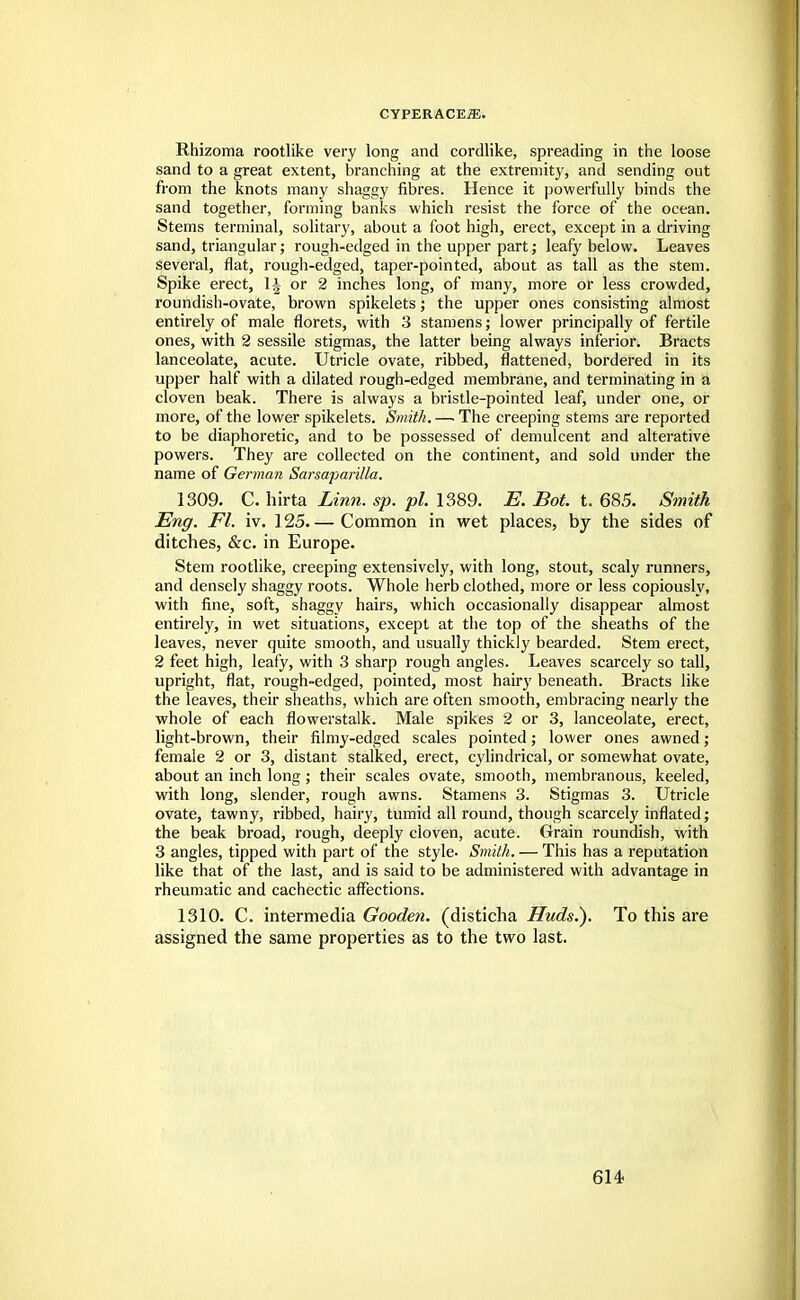 Rhizoma rootlike very long and cordlike, spreading in the loose sand to a great extent, branching at the extremity, and sending out from the knots many shaggy fibres. Hence it powerfully binds the sand together, forming banks which resist the force of the ocean. Stems terminal, solitary, about a foot high, erect, except in a driving sand, triangular; rough-edged in the upper part; leafy below. Leaves several, flat, rough-edged, taper-pointed, about as tall as the stem. Spike erect, 1| or 2 inches long, of many, more or less crowded, roundish-ovate, brown spikelets; the upper ones consisting almost entirely of male florets, with 3 stamens; lower principally of fertile ones, with 2 sessile stigmas, the latter being always inferior. Bracts lanceolate, acute. Utricle ovate, ribbed, flattened, bordered in its upper half with a dilated rough-edged membrane, and terminating in a cloven beak. There is always a bristle-pointed leaf, under one, or more, of the lower spikelets. Smith. — The creeping stems are reported to be diaphoretic, and to be possessed of demulcent and alterative powers. They are collected on the continent, and sold under the name of German Sarsaparilla. 1309. C. hirta Linn. sp. pi. 1389. E. Bot. t. 685. Smith Eng. Fl. iv. 125.— Common in wet places, by the sides of ditches, &c. in Europe. Stem rootlike, creeping extensively, with long, stout, scaly runners, and densely shaggy roots. Whole herb clothed, more or less copiously, with fine, soft, shaggy hairs, which occasionally disappear almost entirely, in wet situations, except at the top of the sheaths of the leaves, never quite smooth, and usually thickly bearded. Stem erect, 2 feet high, leafy, with 3 sharp rough angles. Leaves scarcely so tall, upright, flat, rough-edged, pointed, most hairy beneath. Bracts like the leaves, their sheaths, which are often smooth, embracing nearly the whole of each flowerstalk. Male spikes 2 or 3, lanceolate, erect, light-brown, their filmy-edged scales pointed ,• lower ones awned; female 2 or 3, distant stalked, erect, cylindrical, or somewhat ovate, about an inch long; their scales ovate, smooth, membranous, keeled, with long, slender, rough awns. Stamens 3. Stigmas 3. Utricle ovate, tawny, ribbed, hairy, tumid all round, though scarcely inflated; the beak broad, rough, deeply cloven, acute. Grain roundish, with 3 angles, tipped with part of the style. Smith. — This has a reputation like that of the last, and is said to be administered with advantage in rheumatic and cachectic affections. 1310. C. intermedia Gooden. (disticha Huds.). To this are assigned the same properties as to the two last.