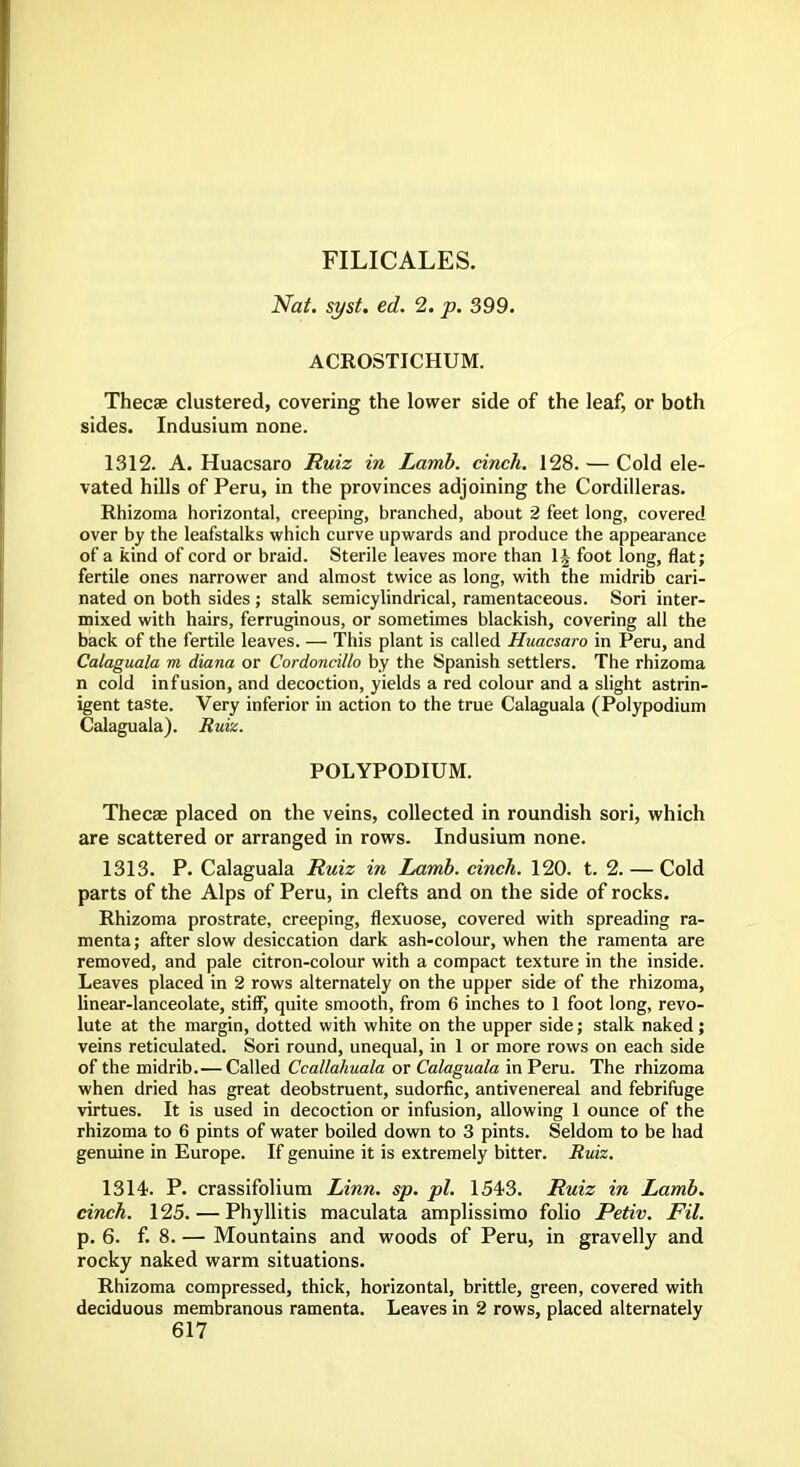 FILICALES. Nat. syst. ed. 2. p. 399. ACROSTICHUM. Thecse clustered, covering the lower side of the leaf, or both sides. Indusium none. 1312. A. Huacsaro Ruiz in Lamb, cinch. 128. — Cold ele- vated hills of Peru, in the provinces adjoining the Cordilleras. Rhizoma horizontal, creeping, branched, about 2 feet long, covered over by the leafstalks which curve upwards and produce the appearance of a kind of cord or braid. Sterile leaves more than 1§ foot long, flat; fertile ones narrower and almost twice as long, with the midrib cari- nated on both sides ; stalk semicylindrical, ramentaceous. Sori inter- mixed with hairs, ferruginous, or sometimes blackish, covering all the back of the fertile leaves. — This plant is called Huacsaro in Peru, and Calaguala m diana or Cordoncillo by the Spanish settlers. The rhizoma n cold infusion, and decoction, yields a red colour and a slight astrin- igent taste. Very inferior in action to the true Calaguala (Polypodium Calaguala). Ruiz. POLYPODIUM. Thecae placed on the veins, collected in roundish sori, which are scattered or arranged in rows. Indusium none. 1313. P. Calaguala Ruiz in Lamb, cinch. 120. t. 2. — Cold parts of the Alps of Peru, in clefts and on the side of rocks. Rhizoma prostrate, creeping, flexuose, covered with spreading ra- menta; after slow desiccation dark ash-colour, when the ramenta are removed, and pale citron-colour with a compact texture in the inside. Leaves placed in 2 rows alternately on the upper side of the rhizoma, linear-lanceolate, stiff, quite smooth, from 6 inches to 1 foot long, revo- lute at the margin, dotted with white on the upper side; stalk naked; veins reticulated. Sori round, unequal, in 1 or more rows on each side of the midrib.— Called Ccallahuala or Calaguala in Peru. The rhizoma when dried has great deobstruent, sudorfic, antivenereal and febrifuge virtues. It is used in decoction or infusion, allowing 1 ounce of the rhizoma to 6 pints of water boiled down to 3 pints. Seldom to be had genuine in Europe. If genuine it is extremely bitter. Ruiz. 1314. P. crassifolium Linn. sp. pi. 154-3. Ruiz in Lamb, cinch. 125. — Phyllitis maculata amplissimo folio Petiv. Fit. p. 6. f. 8. — Mountains and woods of Peru, in gravelly and rocky naked warm situations. Rhizoma compressed, thick, horizontal, brittle, green, covered with deciduous membranous ramenta. Leaves in 2 rows, placed alternately