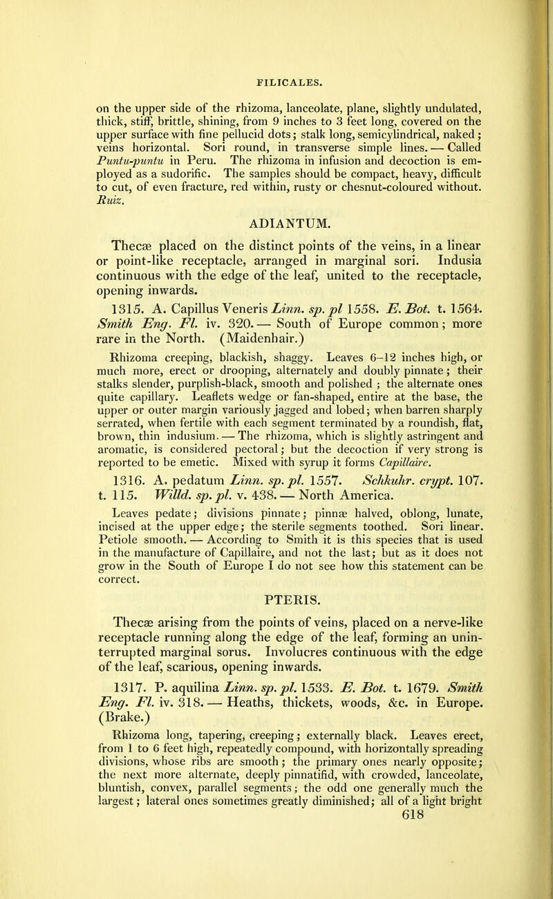 on the upper side of the rhizoma, lanceolate, plane, slightly undulated, thick, stiff, brittle, shining, from 9 inches to 3 feet long, covered on the upper surface with fine pellucid dots; stalk long, semicylindrical, naked; veins horizontal. Sori round, in transverse simple lines. — Called Puntu-puntu in Peru. The rhizoma in infusion and decoction is em- ployed as a sudorific. The samples should be compact, heavy, difficult to cut, of even fracture, red within, rusty or chesnut-coloured without. Ruiz. ADIANTUM. Thecae placed on the distinct points of the veins, in a linear or point-like receptacle, arranged in marginal sori. Indusia continuous with the edge of the leaf, united to the receptacle, opening inwards. 1315. A. Capillus Veneris Linn, sp.pl 1558. E.Bot. t. 1564. Smith Eng. Fl. iv. 320. — South of Europe common; more rare in the North. (Maidenhair.) Rhizoma creeping, blackish, shaggy. Leaves 6-12 inches high, or much more, erect or drooping, alternately and doubly pinnate; their stalks slender, purplish-black, smooth and polished ; the alternate ones quite capillary. Leaflets wedge or fan-shaped, entire at the base, the upper or outer margin variously jagged and lobed; when barren sharply serrated, when fertile with each segment terminated by a roundish, flat, brown, thin indusium. — The rhizoma, which is slightly astringent and aromatic, is considered pectoral; but the decoction if very strong is reported to be emetic. Mixed with syrup it forms Capillaire. 1316. A. pedatum Linn. sp. pi. 1557. Schkuhr. crypt. 107. t. 115. Willd. sp.pl. v. 438 North America. Leaves pedate; divisions pinnate; pinnae halved, oblong, lunate, incised at the upper edge; the sterile segments toothed. Sori linear. Petiole smooth. — According to Smith it is this species that is used in the manufacture of Capillaire, and not the last; but as it does not grow in the South of Europe I do not see how this statement can be correct. PTERIS. Thecse arising from the points of veins, placed on a nerve-like receptacle running along the edge of the leaf, forming an unin- terrupted marginal sorus. Involucres continuous with the edge of the leaf, scarious, opening inwards. 1317. P. aquilina Linn.sp.pl. 1533. E. Bot. t. 1679. Smith Eng. Fl. iv. 318.— Heaths, thickets, woods, &c. in Europe. (Brake.) Rhizoma long, tapering, creeping; externally black. Leaves erect, from 1 to 6 feet high, repeatedly compound, with horizontally spreading divisions, whose ribs are smooth; the primary ones nearly opposite; the next more alternate, deeply pinnatifid, with crowded, lanceolate, bluntish, convex, parallel segments; the odd one generally much the largest; lateral ones sometimes greatly diminished; all of a light bright