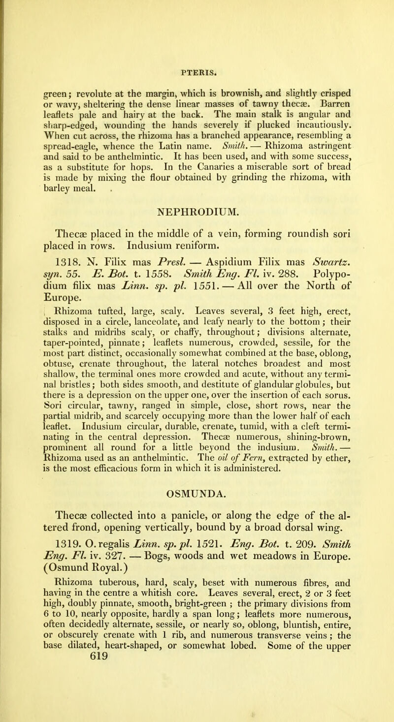 PTERIS. green; revolute at the margin, which is brownish, and slightly crisped or wavy, sheltering the dense linear masses of tawny thecae. Barren leaflets pale and hairy at the back. The main stalk is angular and sharp-edged, wounding the hands severely if plucked incautiously. When cut across, the rhizoma has a branched appearance, resembling a spread-eagle, whence the Latin name. Smith. — Rhizoma astringent and said to be anthelmintic. It has been used, and with some success, as a substitute for hops. In the Canaries a miserable sort of bread is made by mixing the flour obtained by grinding the rhizoma, with barley meal. NEPHRODIUM. Thecae placed in the middle of a vein, forming roundish sori placed in rows. Indusium reniform. 1318. N. Filix mas Presl. — Aspidium Filix mas Swartz. syn. 55. E. Bot. t. 1558. Smith Eng. Fl. iv. 288. Polypo- dium filix mas Linn. sp. pi. 1551. — All over the North of Europe. i Rhizoma tufted, large, scaly. Leaves several, 3 feet high, erect, disposed in a circle, lanceolate, and leafy nearly to the bottom; their stalks and midribs scaly, or chaffy, throughout; divisions alternate, taper-pointed, pinnate; leaflets numerous, crowded, sessile, for the most part distinct, occasionally somewhat combined at the base, oblong, obtuse, crenate throughout, the lateral notches broadest and most shallow, the terminal ones more crowded and acute, without any termi- nal bristles; both sides smooth, and destitute of glandular globules, but there is a depression on the upper one, over the insertion of each sorus. Sori circular, tawny, ranged in simple, close, short rows, near the partial midrib, and scarcely occupying more than the lower half of each leaflet. Indusium circular, durable, crenate, tumid, with a cleft termi- nating in the central depression. Thecae numerous, shining-brown, prominent all round for a little beyond the indusium. Smith.— Rhizoma used as an anthelmintic. The oil of Fern, extracted by ether, is the most efficacious form in which it is administered. OSMUND A. Thecae collected into a panicle, or along the edge of the al- tered frond, opening vertically, bound by a broad dorsal wing. 1319. O.regalis Linn, sp.pl. 1521. Eng. Bot. t. 209. Smith Eng. Fl. iv. 327. — Bogs, woods and wet meadows in Europe. (Osmund Royal.) Rhizoma tuberous, hard, scaly, beset with numerous fibres, and having in the centre a whitish core. Leaves several, erect, 2 or 3 feet high, doubly pinnate, smooth, bright-green ; the primary divisions from 6 to 10, nearly opposite, hardly a span long; leaflets more numerous, often decidedly alternate, sessile, or nearly so, oblong, bluntish, entire, or obscurely crenate with 1 rib, and numerous transverse veins ; the base dilated, heart-shaped, or somewhat lobed. Some of the upper