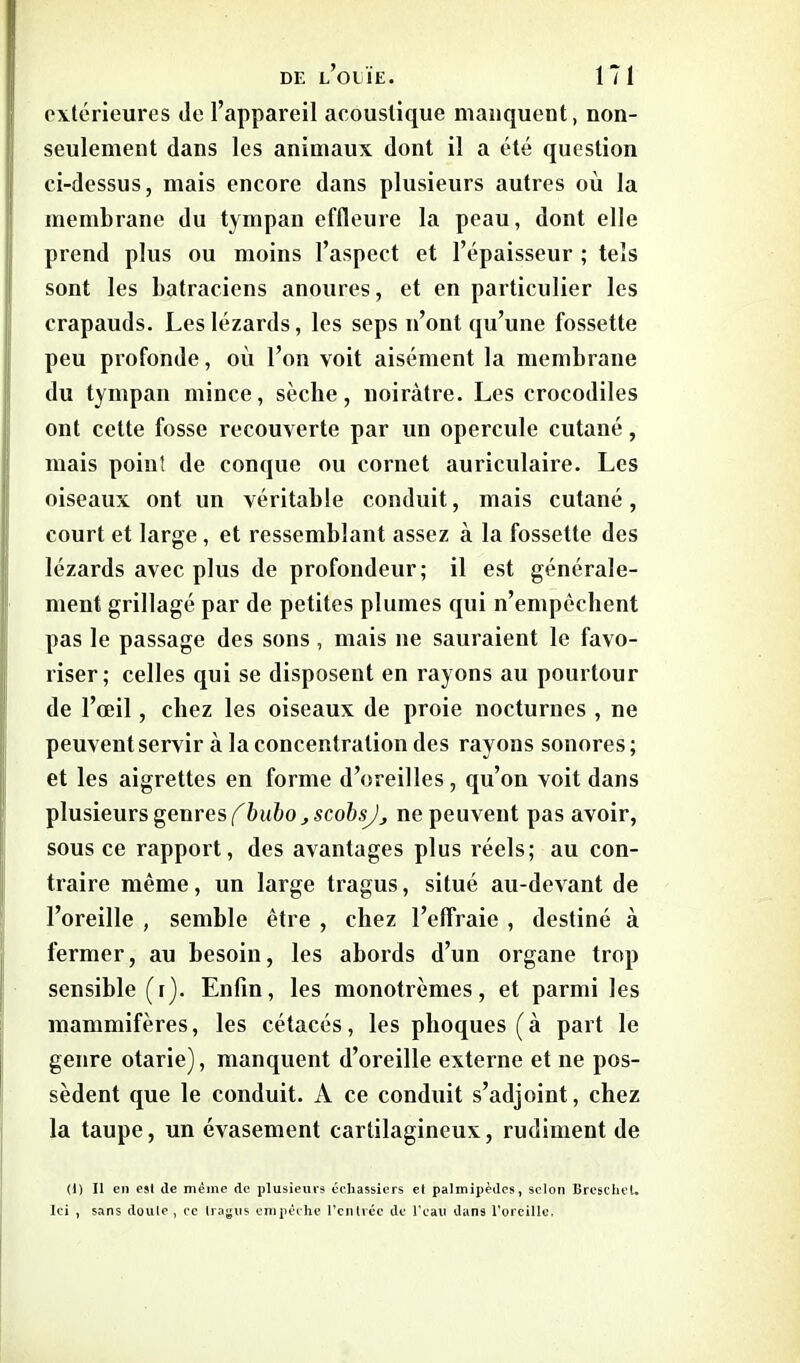 extérieures de l’appareil acoustique manquent, non- seulement dans les animaux dont il a été question ci-dessus, mais encore dans plusieurs autres où la membrane du tympan effleure la peau, dont elle prend plus ou moins l’aspect et l’épaisseur ; tels sont les batraciens anoures, et en particulier les crapauds. Les lézards, les seps n’ont qu’une fossette peu profonde, où l’on voit aisément la membrane du tympan mince, sèche, noirâtre. Les crocodiles ont cette fosse recouverte par un opercule cutané, mais point de conque ou cornet auriculaire. Les oiseaux ont un véritable conduit, mais cutané, court et large, et ressemblant assez à la fossette des lézards avec plus de profondeur; il est générale- ment grillagé par de petites plumes qui n’empêchent pas le passage des sons, mais ne sauraient le favo- riser; celles qui se disposent en rayons au pourtour de l’œil, chez les oiseaux de proie nocturnes, ne peuvent servir à la concentration des rayons sonores; et les aigrettes en forme d’oreilles , qu’on voit dans plusieurs genres fbubo, scobsJ_, ne peuvent pas avoir, sous ce rapport, des avantages plus réels; au con- traire même, un large tragus, situé au-devant de l’oreille , semble être , chez l’effraie , destiné à fermer, au besoin, les abords d’un organe trop sensible (i). Enfin, les monotrèmes, et parmi les mammifères, les cétacés, les phoques (à part le genre otarie), manquent d’oreille externe et ne pos- sèdent que le conduit. A ce conduit s’adjoint, chez la taupe, un évasement cartilagineux, rudiment de (1) Il en est tle meme de plusieurs échassiers et palmipèdes, selon BrescheL Ici , sans doute , ce tragus empêche l’entrée de l’eau dans l’oreille.