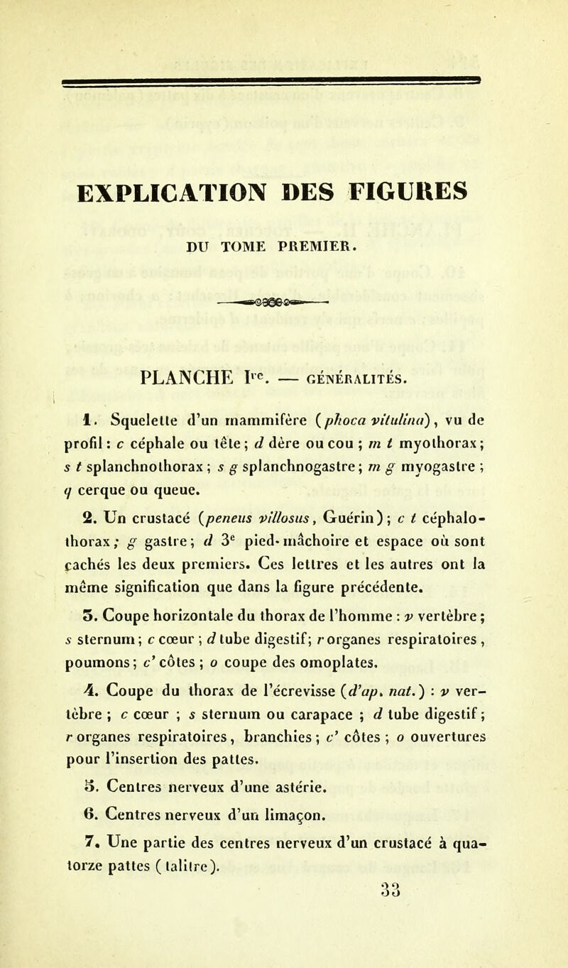 EXPLICATION DES FIGURES DU TOME PREMIER. PLANCHE Iie. GÉNÉRALITÉS. 1. Squelette (l’un mammifère ( phoca vitulimi), vu de profil: c céphale ou tête; d dère ou cou ; m t myothorax; s t splanchnolhorax ; s g splanchnogastre ; m g myogaslre ; q cerque ou queue. 2. Un crustacé (peneus villosus, Guérin); c t céphalo- thorax; g gastre; d 3e pied-mâchoire et espace où sont cachés les deux premiers. Ces lettres et les autres ont la meme signification que dans la figure précédente. 5. Coupe horizontale du thorax de l’homme : v vertèbre ; 5 sternum; c cœur ; t? tube digestif; / organes respiratoires, poumons; c’côtes; o coupe des omoplates. 4. Coupe du thorax de l’écrevisse (d’ap. nat. ) : v ver- tèbre ; c cœur ; s sternum ou carapace ; d tube digestif ; /• organes respiratoires, branchies ; c’ côtes ; o ouvertures pour l’insertion des pattes. 15. Centres nerveux d’une astérie. 6. Centres nerveux d’un limaçon. 7. Une partie des centres nerveux d’un crustacé à qua- torze pattes ( talitrc).