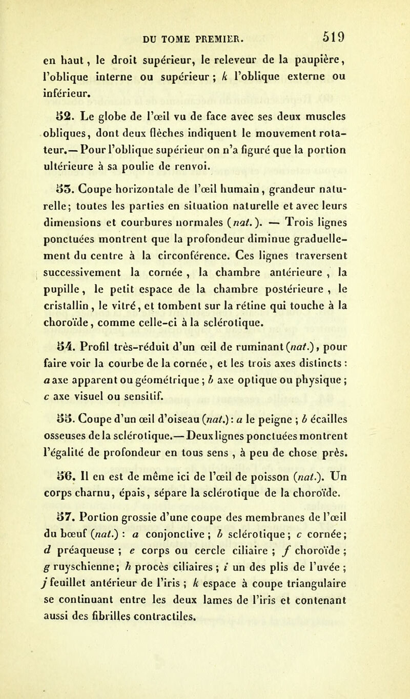 en haut, le droit supérieur, le releveur de la paupière, l’oblique interne ou supérieur ; k l’oblique externe ou inférieur. 52. Le globe de l’œil vu de face avec ses deux muscles obliques, dont deux flèches indiquent le mouvement rota- teur.— Pour l’oblique supérieur on n’a figuré que la portion ultérieure à sa poulie de renvoi. 35. Coupe horizontale de l’œil humain, grandeur natu- relle; toutes les parties en situation naturelle et avec leurs dimensions et courbures normales (nat.). — Trois lignes ponctuées montrent que la profondeur diminue graduelle- ment du centre à la circonférence. Ces lignes traversent successivement la cornée , la chambre antérieure , la pupille, le petit espace de la chambre postérieure, le cristallin , le vitré, et tombent sur la rétine qui touche à la choroïde, comme celle-ci à la sclérotique. 54. Profil très-réduit d’un œil de ruminant (nat.) , pour faire voir la courbe de la cornée, et les trois axes distincts : a axe apparent ou géométrique ; h axe optique ou physique ; c axe visuel ou sensitif. 55. Coupe d’un œil d’oiseau (nat.) : a le peigne ; b écailles osseuses delà sclérotique.— Deux lignes ponctuées montrent l’égalité de profondeur en tous sens , à peu de chose près. 36. Il en est de même ici de l’œil de poisson (nat.). Un corps charnu, épais, sépare la sclérotique de la choroïde. 57. Portion grossie d’une coupe des membranes de l’œil du bœuf (nat.) : a conjonctive; b sclérotique; c cornée; d préaqueuse ; e corps ou cercle ciliaire ; f choroïde ; g ruyschienne; h procès ciliaires ; i un des plis de l’uvée ; j feuillet antérieur de l’iris ; k espace à coupe triangulaire se continuant entre les deux lames de l’iris et contenant aussi des fibrilles contractiles.