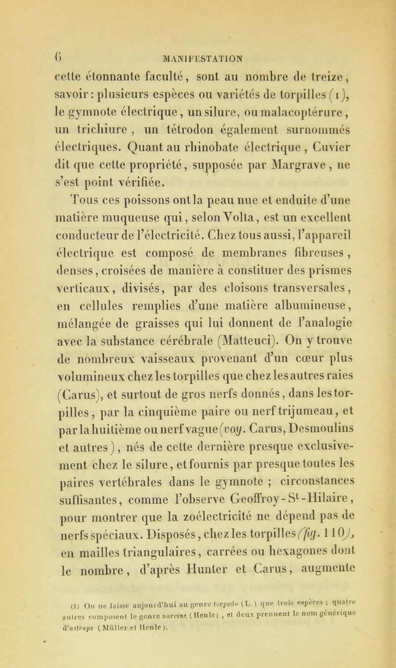 () MAMI'IISTATION cette étonnante faculté, sont au nombre de treize, savoir : plusieurs espèces ou variétés de torpilles (i), le gymnote électrique, un silure, ou malacoptérure, un Iricliiiire , un tétrodon également surnommés électriques. Quant au rhinobate électrique , Cuvier dit que cette propriété, supposée par 31argrave , ne s’est point vérifiée. Tous ces poissons ont la peau nue et enduite d’iiiie matière muqueuse qui, selon Volta, est un excellent conducteur de l’électricité. Chez tous aussi, l’appareil électrique est composé de membranes fibreuses , denses, croisées de manière à constituer des prismes verticaux, divisés, par des cloisons transversales, en cellules remplies d’une matière albumineuse, mélangée de graisses qui lui donnent de l’analogie avec la substance cérébrale (Matteuci). Ou y trouve de nombreux vaisseaux provenant d’un cœur plus volumineux chez les torpilles que chez les autres raies (Carus), et surtout de gros nerfs donnés, dans les tor- pilles, par la cinquième paire ou nerf trijumeau, et parlahuitième ou nerf vague (roy. Carus, Desmoulius et autres), nés de cette dernière presque exclusive- ment-^hez le silure, et fournis par presque toutes les paires vertébrales dans le gymnote ; circonstances suffisantes, comme l’observe Geoffroy-S*^-Hilaire, pour montrer que la zoélectricité ne dépend pas de nerfs spéciaux. Disposés, chez les torpilles i^'/îy. 1 lOyV, en mailles triangulaires, carrées ou hexagones dont le nombre, d’après Hunier et Carus, augmente U) On ne laisse aujourd’hui au genre turfcdo (L.l <iiie trois esiiercs ; quatre autres eoniposcnl le gem o nnreint ( llenlc) , et deux prennent le nom générique d’aslnipc (Millier et llenlc).