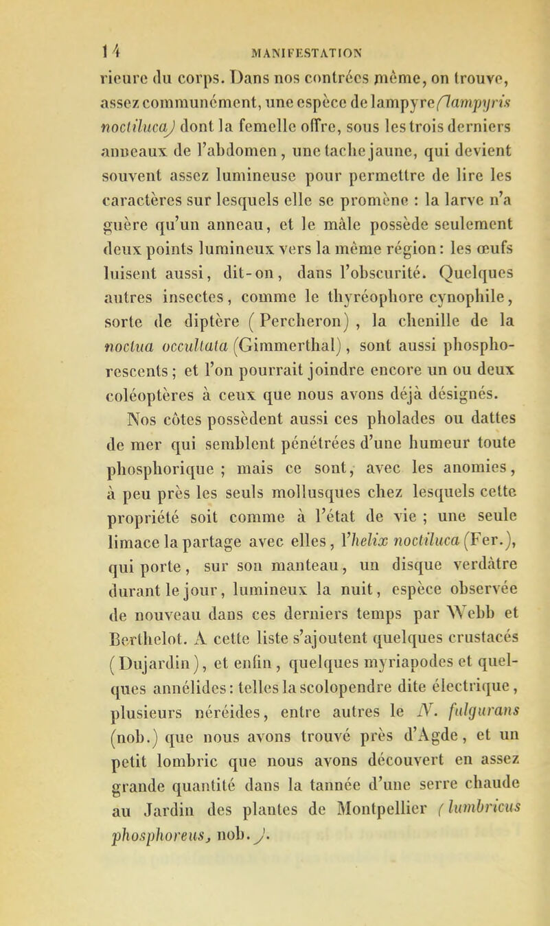 riciirc du corps. Dans nos contrées même, on trouve, assez communément, une espèce de lampyreé^ampym noclüucaj dont la femelle offre, sous les trois derniers anneaux de l’abdomen , une tache jaune, qui devient souvent assez lumineuse pour permettre de lire les caractères sur lesquels elle se promène : la larve n’a jïuère qu’un anneau, et le mâle possède seulement deux points lumineux vers la même région : les œufs luisent aussi, dit-on, dans l’obscurité. Quelques autres insectes, comme le tbyréopbore cynopbile, sorte de diptère ( Percheron) , la chenille de la noclua occullata (Gimmerthal), sont aussi phospho- rescents ; et l’on pourrait joindre encore un ou deux coléoptères à ceux que nous avons déjà désignés. Nos côtes possèdent aussi ces pholades ou dattes de mer qui semblent pénétrées d’une humeur toute phospborique ; mais ce sont, avec les anomies, à peu près les seuls mollusques chez lesquels cette propriété soit comme à l’état de vie ; une seule limace la partage avec elles, VheMx noctüuca (Fer.), qui porte, sur son manteau, un disque verdâtre durant le jour, lumineux la nuit, espèce observée de nouveau dans ces derniers temps par Webb et Berthelot. A cette liste s’ajoutent quelques crustacés (Dujardin), et enfin , quelques myriapodes et quel- ques annélides: telles la scolopendre dite électrique, plusieurs néréides, entre autres le iV. fulgurans (nob.) que nous avons trouvé près d’Agde, et un petit lombric que nous avons découvert en assez grande quantité dans la tannée d’une serre chaude au Jardin des plantes de Montpellier {lumhricus phosphoreus, nob. J.