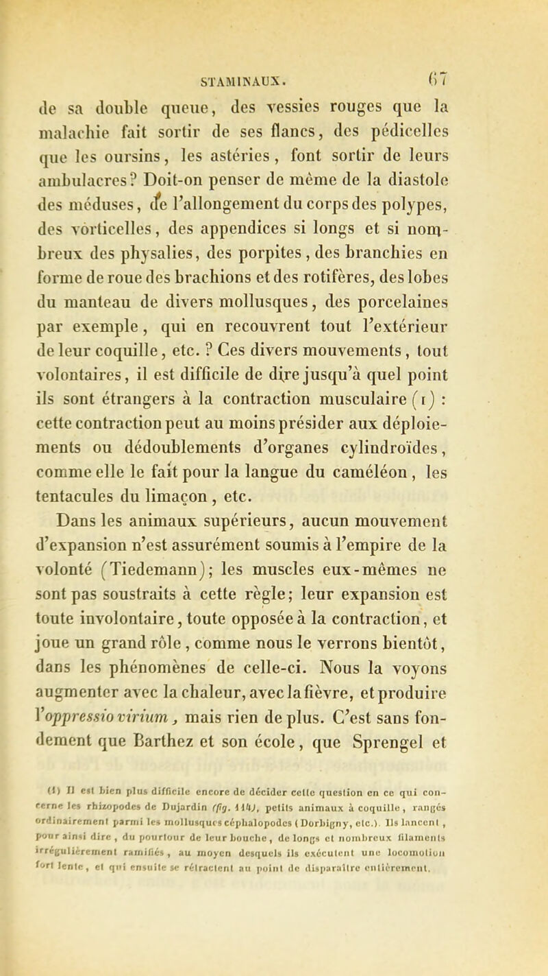 (Î7 Je sa double queue, des vessies rouges que la malachie fait sortir de ses flancs, des pédicelles que les oursins, les astéries , font sortir de leurs ambulacres? Doit-on penser de même de la diastole des méduses, (fe l’allongement du corps des polypes, des vôrticelles, des appendices si longs et si noni- Lreux des physalies, des porpites, des branchies en forme de roue des brachions et des rotifères, des lobes du manteau de divers mollusques, des porcelaines par exemple, qui en recouvrent tout l’extérieur de leur coquille, etc. ? Ces divers mouvements, tout volontaires, il est difficile de dire jusqu’à quel point ils sont étrangers à la contraction musculaire ( i ) : cette contraction peut au moins présider aux déploie- ments ou dédoublements d’organes cylindroïdes, comme elle le fait pour la langue du caméléon , les tentacules du limaçon , etc. Dans les animaux supérieurs, aucun mouvement d’expansion n’est assurément soumis à l’empire de la volonté (Tiedemann); les muscles eux-mêmes ne sont pas soustraits à cette règle; leur expansion est toute involontaire, toute opposée à la contraction, et joue un grand rôle , comme nous le verrous bientôt, dans les phénomènes de celle-ci. Nous la voyons augmenter avec la chaleur, avec la fièvre, et produire Voppressio virium, mais rien de plus. C’est sans fon- dement que Barthez et son école, que Sprengel et (1) Il c»l bien plus difficile encore de décider celle question en ce qui cou- rerne les rhizopodes de Dujardin (fg. HUj, petits animaux à coquille, rangés ordinairement parmi les mollusques céphalopodes ( Dorbigny, etc.). Ils lancent , pour ainsi dire, du pourtour de leur bouche, de longs et nombreux lilainenls irrégulièrement ramifiés, au moyen desquels ils exécutent une locomotion for! lente, et qui ensuite se rétractent au point de disparaître enlièreincnl.