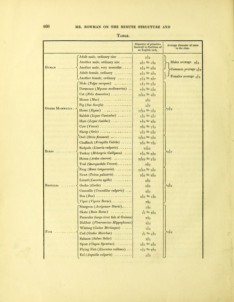 Table. Diameter of primitive fasciculi in fractions of an English inch. Average diameter of same in the class. Humax Birds, Reptiles Fish Other Mammalia . .< < Adult male, ordinary size Another male, ordinary size .... Another male, very muscular.. .. Adult female, ordinary Another female, ordinary Mole {Talpa europaa) Dormouse (Myoxus avellanarius) Cat (^Felis domestica) Mouse (Mus) Pig (Sms Scrofa) Horse (Equus) Rabbit (Lepus Cuniculus) Hare (Lepus timidus) Cow (Vacca) Sheep (Ovis) Owl (Strix fiammea) Chaffinch {Fringilla Ccelebs) ..... Redpole (Linaria vulgaris) Turkey (Meleagris Gallipavd) .., Heron (Ardea cinerea) Teal (Querquedula Crecca) Frog (Rana temporaria) Newt {Triton palustris) Lizard {Lacerta agilis) Gecko (Gecko) Crocodile (Crocodilus vulgaris) .. Boa (Boa) Viper (Vipera Berus) Sturgeon (Accipenser Sturio) Skate (Raia Batus) Paracuhu (large river fish of Guiana) Halibut (Pleuronectes Hippoglossus) Whiting (Gadus Merlangus) Cod (Gadus Morrhua) Salmon (Salmo Salar) Sprat (Clupea Sprattus) Flying Fish (Exocoetus volitans).. . . Eel (Anguilla vulgaris) 3T2 1 tr» I To 7 ™ 1 9 2 ITJ 1 ■ frj L 5 12^^ 30T I 1 715 516 JfO ^80 I fQ I 1000 4^00 TTTO 2JJ 1__ to 1 1100 IoS I_ to 1 B20 3o7 TTZ 'zhz 1 1 S30 T52 —J- to -1— 6 10 '-^5 20 1 to 1 1000 600 1 to I Foo TFo __l 1000 TFo TtW 3To 1 7J0 I tn 1 lOOF 100 1_ tn 1_ Too Too 1 FoF TFCi TZo 1 tn I Foo 1 To T3F 1 TTS gj zio zh) zm I 109 ik to ^fo zh) tn —^— (Too 200 7ZZ to jfo 1 2‘5 0 Males average > Common ^average Females average 56 1 ^48 4. S.-1 r222