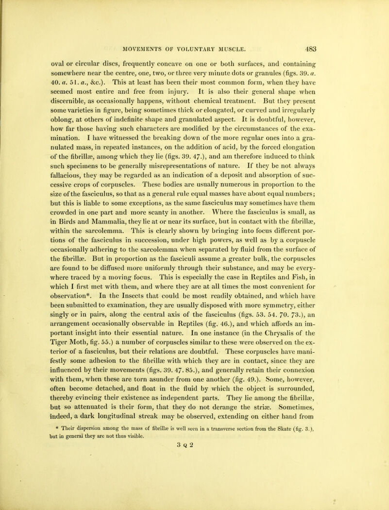 oval or circular discs, frequently concave on one or both surfaces, and containing' somewhere near the centre, one, two, or three very minute dots or granules (figs. 39. a. 40. a. 51. «., &c.). This at least has been their most common form, when they have seemed most entire and free from injury. It is also their general shape when discernible, as occasionally happens, without chemical treatment. But they present some varieties in figure, being sometimes thick or elongated, or curved and irregularly oblong, at others of indefinite shape and granulated aspect. It is doubtful, however, how far those having such characters are modified by the circumstances of the exa- mination. I have witnessed the breaking down of the more regular ones into a gra- nulated mass, in repeated instances, on the addition of acid, by the forced elongation of the fibrillse, among which they lie (figs. 39. 47.), and am therefore induced to think such specimens to be generally misrepresentations of nature. If they be not always fallacious, they may be regarded as an indication of a deposit and absorption of suc- cessive crops of corpuscles. These bodies are usually numerous in proportion to the size of the fasciculus, so that as a general rule equal masses have about equal numbers; but this is liable to some exceptions, as the same fasciculus may sometimes have them crowded in one part and more scanty in another. Where the fasciculus is small, as in Birds and Mammalia, they lie at or near its surface, but in contact with the fibrillee, within the sarcolemma. This is clearly shown by bringing into focus different por- tions of the fasciculus in succession, under high powers, as well as by a corpuscle occasionally adhering to the sarcolemma when separated by fluid from the surface of the fibrillee. But in proportion as the fasciculi assume a greater bulk, the corpuscles are found to be diffused more uniformly through their substance, and may be every- where traced by a moving focus. This is especially the case in Reptiles and Fish, in which I first met with them, and where they are at all times the most convenient for observation*. In the Insects that could be most readily obtained, and which have been submitted to examination, they are usually disposed with more symmetry, either singly or in pairs, along the central axis of the fasciculus (figs. 53. 54. 70. 73.), an arrangement occasionally observable in Reptiles (fig. 46.), and which affords an im- portant insight into their essential nature. In one instance (in the Chrysalis of the Tiger Moth, fig. 55.) a number of corpuscles similar to these were observed on the ex- terior of a fasciculus, but their relations are doubtful. These corpuscles have mani- festly some adhesion to the fibrillse with which they are in contact, since they are influenced by their movements (figs. 39. 47. 85.), and generally retain their connexion with them, when these are torn asunder from one another (fig. 49.). Some, however, often become detached, and float in the fluid by which the object is surrounded, thereby evincing their existence as independent parts. They lie among the fibrillae, but so attenuated is their form, that they do not derange the striae. Sometimes, indeed, a dark longitudinal streak may be observed, extending on either hand from * Their dispersion among the mass of fibrillse is well seen in a transverse section from the Skate (fig. 3.), but in general they are not thus visible. 3 Q 2