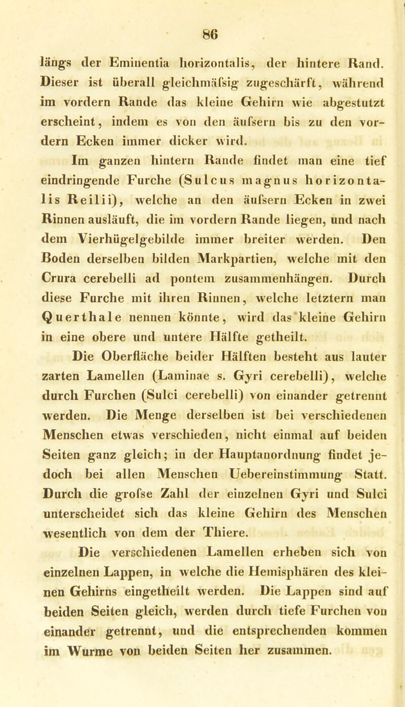 längs der Eminentia liorizontalis, der hintere Rand. Dieser ist überall gleiclimäfsig ziigescliärft, während im vordem Rande das kleine Gehirn wie abgestutzt erscheint, indem es von den äufsern bis zu den vor- dem Ecken immer dicker wird. Im ganzen hintern Rande findet man eine tief eindringende Furche (Sulcus magnus horizonta- lis Reilii), welche an den äufsern Ecken in zwei Rinnen ausläuft, die im vordem Rande liegen, und nach dem Vierhügelgebilde immer breiter werden. Den Boden derselben bilden Markpartien, welche mit den Crura cerebelli ad pontem Zusammenhängen. Durch diese Furche mit ihren Rinnen, welche letztem man Querthale nennen könnte, wird das kleine Gehirn in eine obere und untere Hälfte getheilt. Die Oberfläche beider Hälften besteht aus lauter zarten Lamellen (Laminae s. Gyri cerebelli), welche durch Furchen (Sulci cerebelli) von einander getrennt werden. Die Menge derselben ist bei verschiedenen Menschen etwas verschieden, nicht einmal auf beiden Seiten ganz gleich; in der Hauptanordnung findet je- doch bei allen Menschen Uebereinstimmung Statt. Durch die grofse Zahl der einzelnen Gyri und Sulci unterscheidet sich das kleine Gehirn des Menschen wesentlich von dem der Thiere. Die verschiedenen Lamellen erheben sich von einzelnen Lappen, in welche die Hemisphären des klei- nen Gehirns eingetheilt werden. Die Lappen sind auf beiden Seiten gleich, werden durch tiefe Furchen von einander getrennt, und die entsprechenden kommen im Wurme von beiden Seiten her zusammen.