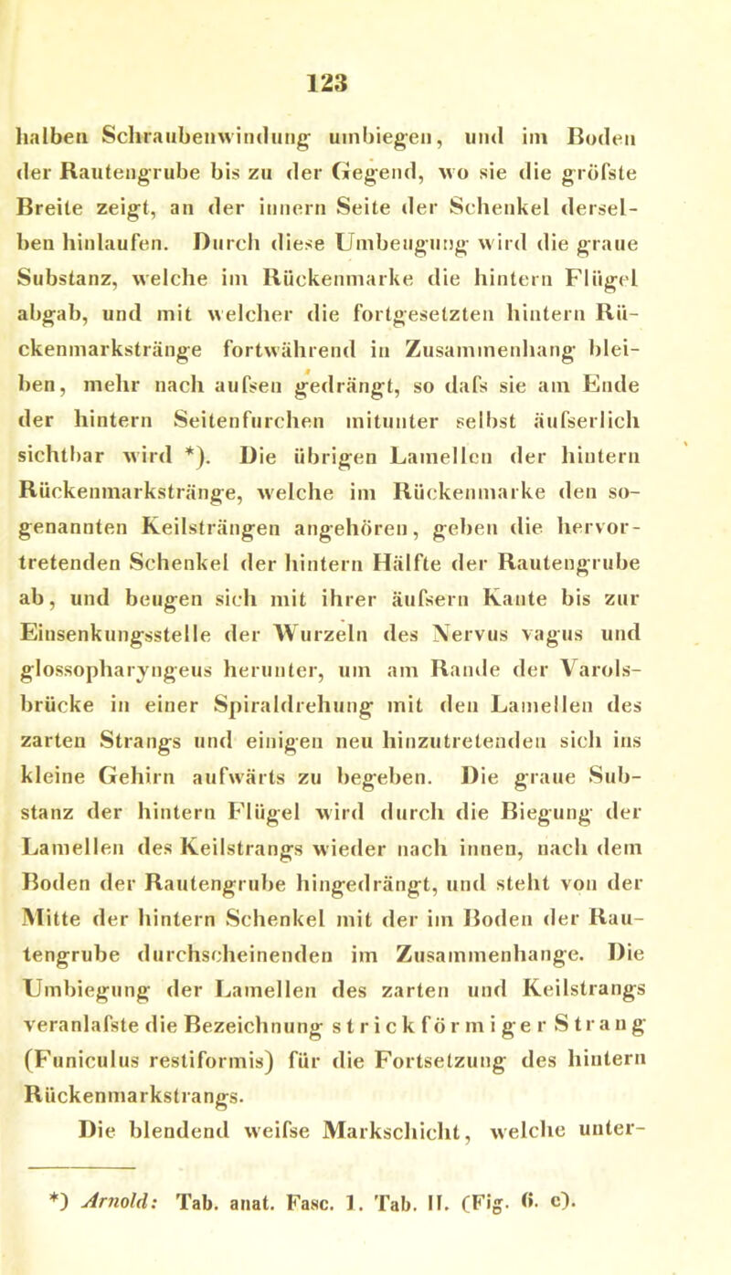 halben Schraubenwindung- uinbiegen, und im Boden der Rautengrube bis zu der Gegend, wo sie die gröfsle Breite zeigt, an der innern Seite tler Schenkel dersel- ben hinlaufen. Durch diese Umbeiigutsg wird die graue Substanz, welche iin Rückenmarke die hintern Flügel abgab, und mit welcher die fortgesetzten hintern Rü- ckenmarkstränge fortwährend in Zusammenhang blei- ben, mehr nach aufsen gedrängt, so dafs sie am Ende der hintern Seitenfiirchen mitunter selbst äufserlich sichtbar wird *). Die übrigen Lamellen der hintern Rückenmarkstränge, welche im Rückenmarke den so- genannten Keilsträngen angehören, geben die hervor- tretenden Schenkel der hintern Hälfte der Rautengrube ab, und beugen sich mit ihrer äufsern Kante bis zur Einsenkungsstelle der Wurzeln des Nervus vagus und glossopharyngeus herunter, um am Ramie der Varols- brücke in einer Spiraldrehung mit den Lamellen des zarten Strangs und einigen neu hinzutretenden sich ins kleine Gehirn aufwärts zu begeben. Die graue Sub- stanz der hintern Flügel wird durch die Biegung der Lamellen des Keilstrangs wieder nach innen, nach dem Boden der Rautengrube hingedrängt, und steht von der Mitte der hintern Schenkel mit der im Boden der Rau- tengrube durchscheinenden im Zusammenhänge. Die Umbiegung der Lamellen des zarten und Keilstrangs veranlafste die Bezeichnung s t r i ck för m i ge r Strang (Funiculus restiformis) für die Fortsetzung des hintern Rückenmarkstrangs. Die blendend weifse Markschicht, welche unter-