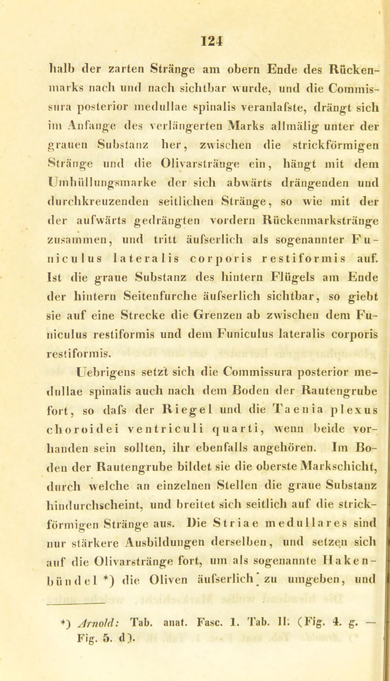 halb der zarten Stränge am obern Ende des Rücken- marks nach lind nach sichtbar wurde, und die Coinmis- sura posterior inedullae spinalis veranlafste, drängt sich iin Anfänge des verlängerten Marks allmälig unter der grauen Substanz her, zwischen die strickförmigen Stränge und die Olivarsträuge ein, hängt mit dem Umhüllungsmarke der sich abwärts drängenden und durchkreuzenden seitlichen Stränge, so wie mit der der aufwärts gedrängten vordem Rückenmarkstränge zusammen, und tritt äufserlich als sogenannter Fu- niculus lateralis corporis restiformis auf. Ist die graue Substanz des hintern Flügels am Ende der hintern Seitenfurche äufserlich sichtbar, so giebt sie auf eine Strecke die Grenzen ab zwischen dem Fu- niculus restiformis und dem Funiculus lateralis corporis restiformis. Uebrigens setzt sich die Commissura posterior me- dullae spinalis auch nach dem Boden der Rautengrube fort, so dafs der Riegel und die Taenia plexus choroidei ventriculi quarti, wenn beide vor- handen sein sollten, ihr ebenfalls angehören. Im Bo- den der Rautengrube bildet sie die oberste Markschicht, durch welche an einzelnen vStellen die graue Substanz hindurchscheint, und breitet sich seitlich auf die strick- förmigen Stränge aus. Die Striae medulläres sind nur stärkere Ausbildungen derselben, und setzen sich auf die Olivarstränge fort, um als sogenannte Haken- bündel*) die Oliven äufserlich] zu umgeben, und *) Arnold: Tab. aiiat. Fase. 1. Tab. 11. (Fig. 4. g. — Fig. 5. tl).