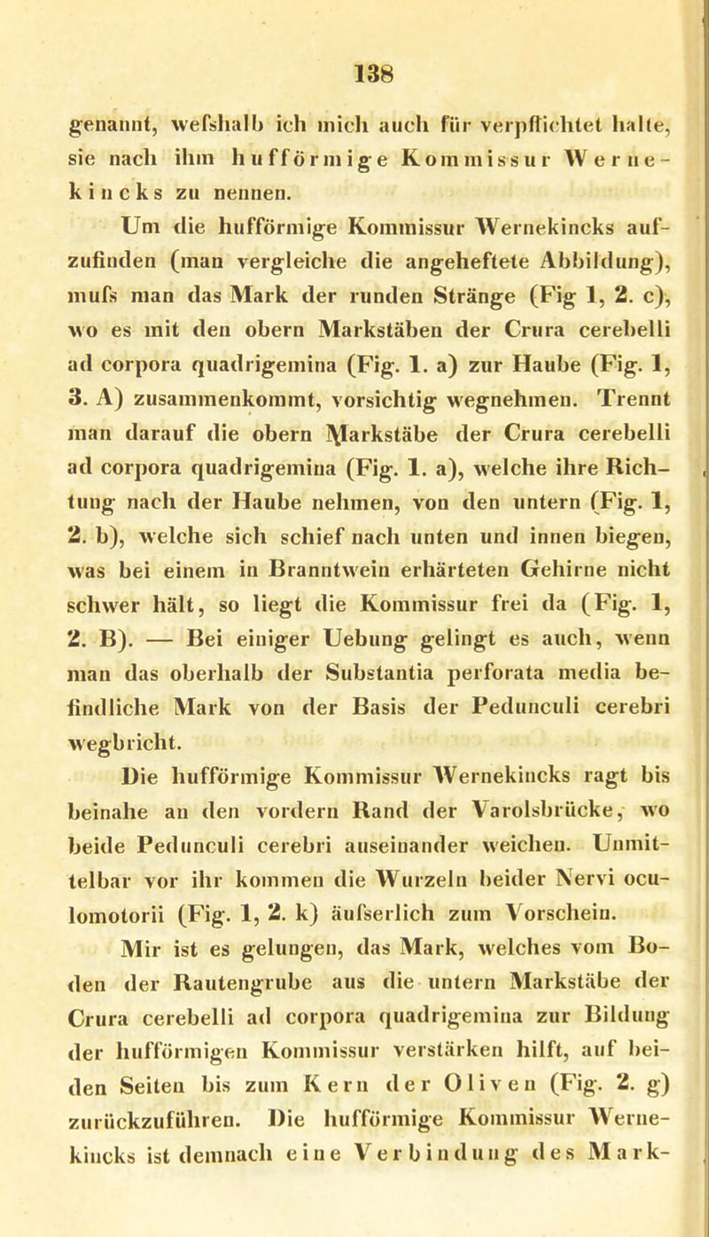 genannt, wefshalb ich mich auch für verpftichtet lialte, sie nach ihm hufförmige Kommissur Werne- k i n c k s zu nennen. Um die hufförmige Kommissur Wernekincks auf- zufinden (man vergleiche die angeheftete Abbildung), mufs man das Mark der runden Stränge (Fig 1, 2. c), wo es mit den obern Markstäben der Crura cerebelli ad Corpora quadrigemina (Fig. 1. a) zur Haube (Fig. 1, 3. A) zusammenkommt, vorsichtig wegnehmen. Trennt man darauf die obern ]\Iarkstäbe der Crura cerebelli ad Corpora quadrigemina (Fig. 1. a), welche ihre Rich- tung nach der Haube nehmen, von den untern (Fig. 1, 2. b), welche sich schief nach unten und innen biegen, was bei einem in Branntwein erhärteten Gehirne nicht schwer hält, so liegt die Kommissur frei da (Fig. 1, 2. B). — Bei einiger Uebung gelingt es auch, wenn man das oberhalb der Substantia perforata media be- findliche Mark von der Basis der Pedunculi cerebri wegb rieht. Die hufförmige Kommissur Wernekincks ragt bis beinahe an den vordem Rand der Varolsbrücke, W'O beide Pedunculi cerebri auseinander weichen. Unmit- telbar vor ihr kommen die Wurzeln beider Nervi ocu- lomotorii (Fig. 1, 2. k) äufserlich zum Vorschein. Mir ist es gelungen, das Mark, welches vom Bo- den der Rautengrube aus die untern Markstäbe der Crura cerebelli ad Corpora quadrigemina zur Bildung der hufförmigen Kommissur verstärken hilft, auf bei- den Seiten bis zum Kern der Oliven (Fig. 2. g) zurückzufühlen. Die hufförmige Kommissur Werne- kiiicks ist demnach eine Verbindung des Mark-