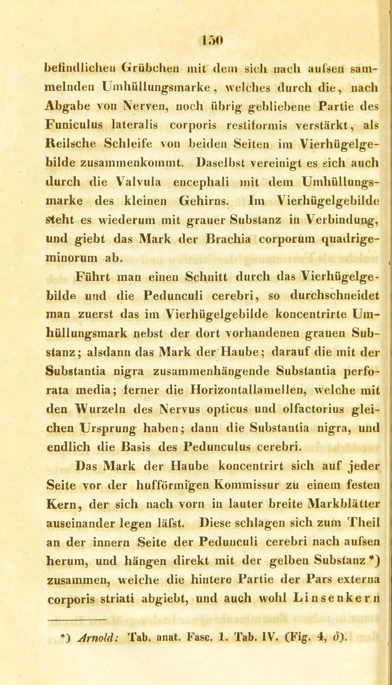 l.')0 befiiuUicheu Grübchen mit dem sich nach aufseii sam- melnden Umhüllnngsmarke , welches durch die, nach Abgabe von Nerven, noch übrig gebliebene Partie des Fnniculus lateralis corporis reslilormis verstärkt, als Reilsche Schleife von beiden Seiten im Vierhügelge- bilde zusammenkommt. Daselbst vereinigt es sich auch durch die Valvula encephali mit dem Umhüllungs- marke des kleinen Gehirns. Im Vierhügelgebilde steht es wiederum mit grauer Substanz in Verbindung, und giebt das Mark der Brachia corporum quadrige- minorum ab. Führt man einen Schnitt durch das Vierhügelge- bilde und die Pedunculi cerebri, so durchschneidet man zuerst das im Vierhügelgebilde koncentrirte Um- hüllungsmark nebst der dort vorhandenen grauen Sub- stanz; alsdann das Mark der Haube; darauf die mit der Substantia nigra zusammenhängende Substantia perfo- rata media; ferner die Horizontallamellen, welche mit den Wurzeln des Nervus opticus und olfactorius glei- chen Ursprung haben; dann die Substantia nigra, und endlich die Basis des Pedunculus cerebri. Das Mark der Haube koncentrirt sich auf jeder Seite vor der hufförmi’gen Kommissur zU einem festen Kern, der sich nach vorn in lauter breite Markblätter auseinander legen läfst. Diese schlagen sich zum Theil an der Innern Seite der Pedunculi cerebri nach aufsen herum, und hängen direkt mit der gelben Substanz *) zusammen, welche die hintere Partie der Pars externa corporis striati abgiebt, und auch wohl Linsenkern