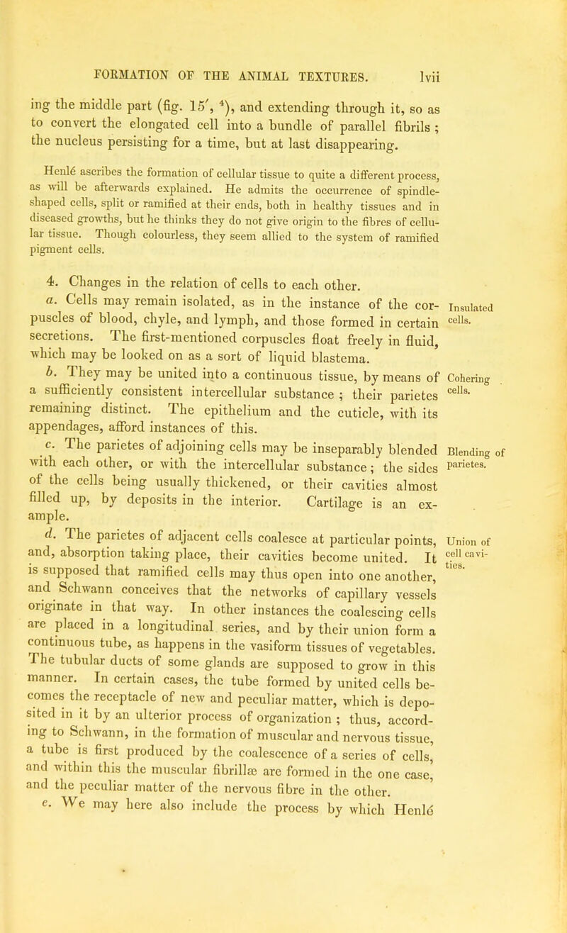 ing the middle part (fig. 15^, and extending through it, so as to convert the elongated cell into a bundle of parallel fibrils ; the nucleus persisting for a time, but at last disappearing. Henl6 ascribes the formation of cellular tissue to quite a different process, as will be afterwards explained. He admits the oceurrence of spindle- shaped cells, split or ramified at their ends, both in healthy tissues and in diseased growths, but he thinks they do not give origin to the fibres of cellu- lar tissue. Though colourless, they seem allied to the system of ramified pigment cells. 4. Changes in the relation of cells to each other. a. Cells may remain isolated, as in the instance of the cor- puscles of blood, chyle, and lymph, and those formed in certain secretions. The first-mentioned corpuscles float freely in fluid, ■which may be looked on as a sort of liquid blastema. b. They may be united into a continuous tissue, by means of a sufficiently consistent intercellular substance ; their parietes remaining distinct. The epithelium and the cuticle, with its appendages, afford instances of this. c. The parietes of adjoining cells may be inseparably blended with each other, or with the intercellular substance; the sides of the cells being usually thickened, or their cavities almost filled up, by deposits in the interior. Cartilage is an ex- ample. d. The parietes of adjacent cells coalesce at particular points, and, absorption taking place, their cavities become united. It is supposed that ramified cells may thus open into one another, and Schwann conceives that the networks of capillary vessels originate in that way. In other instances the coalescing cells are placed in a longitudinal series, and by their union forma continuous tube, as happens in the vasiform tissues of vegetables. The tubular ducts of some glands are supposed to grow in this manner. In certain cases, the tube formed by united cells be- comes the receptacle of new and peculiar matter, which is depo- sited in it by an ulterior process of organization ; thus, accord- ing to Schwann, in the formation of muscular and nervous tissue, a tube is first produced by the coalescence of a scries of cells, and within this the muscular fibrillae are formed in the one case' and the peculiar matter of the nervous fibre in the other. e. We may here also include the process by which Henle Insulated cells. Cohering cells. Blending of parietes. Union of cell cavi- ties.