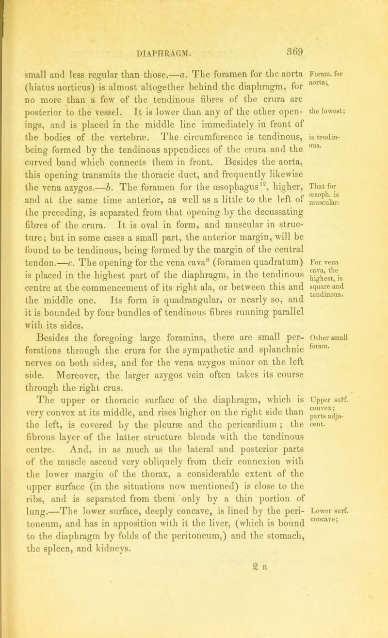 small ami less regular than those.—a. The foramen for the aorta (hiatus aorticus) is almost altogether behind the diaphragm, for no more than a few of the tendinous fibres of the crura are posterior to the vessel. It is lower than any of the other open- ings, and is placed in the middle line immediately in front of the bodies of the vertebrm. The circumference is tendinous, being formed by the tendinous appendices of the crura and the curved band which connects them in front. Besides the aorta, this opening transmits the thoracic duct, and frequently likewise the vena azygos.—b. The foramen for the oesophagus^*, higher, and at the same time anterior, as well as a little to the left of the preceding, is separated from that opening by the decussating fibres of the crura. It is oval in form, and muscular in struc- ture; but in some cases a small part, the anterior margin, will be found to be tendinous, being formed by the margin of the central tendon.—c. The opening for the vena cava® (foramen quadratum) is placed in the highest part of the diaphragm, in the tendinous centre at the commencement of its right ala, or between this and the middle one. Its form is quadrangular, or nearly so, and it is bounded by four bundles of tendinous fibres running parallel with its sides. Besides the foregoing large foramina, there are small per- forations through the crura for the sympathetic and splanchnic nerves on both sides, and for the vena azygos minor on the left side. Moreover, the larger azygos vein often takes its course through the right crus. The upper or thoracic surface of the diaphragm, which is very convex at its middle, and rises higher on the right side than the left, is covered by the pleurae and the pericardium ; the fibrous layer of the latter structure blends with the tendinous centre. And, in as much as the lateral and posterior parts of the muscle ascend very obliquely from their connexion with the lower margin of the thorax, a considerable extent of the upper surface (in the situations now mentioned) is elose to the ribs, and is separated from them only by a thin portion of lung.—The lower surface, deeply concave, is lined by the peri- toneum, and has in apposition with it the liver, (which is bound to the diaphragm by folds of the peritoneum,) and the stomach, the spleen, and kidneys. Foium. for aorta; the lowest; is tendin- ous. That for oesoph. is muscular. For vena cava, the highest, is square and tendinous. Other small foram. Upper sntf. convex; parts adja- cent. Lower surf, concave;