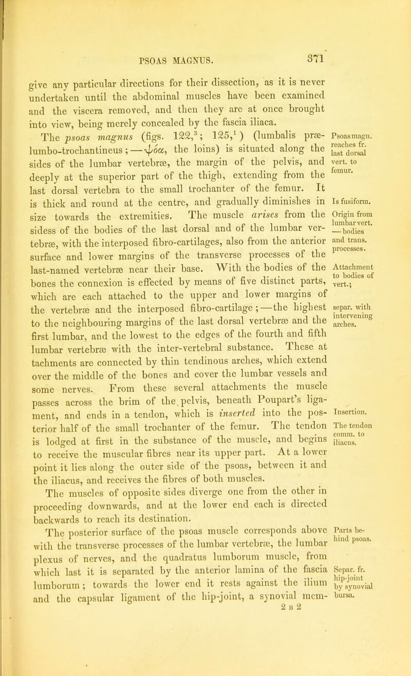 give any particular directions for their dissection, as it is never undertaken until tlie ahdoniinal muscles have been examined and the viscera removed, and then they are at once brought into view, being merely concealed by the fascia iliaca. The psoas magnus (figs. 122,^; 125,^) (lumbalis pr?e- lumbo-trochantineus;—•tpooc,, the loins) is situated along the sides of the lumbar vertebrae, the margin of the pelvis, and deeply at the superior part of the thigh, extending from the last dorsal vertebra to the small trochanter of the femur. It is thick and round at the centre, and gradually diminishes in size towards the extremities. The muscle arises from the sidess of the bodies of the last dorsal and of the lumbar ver- tebra, with the interposed fibro-cartilages, also from the anterior surface and lower margins of the transverse processes of the last-named vertebrae near their base. AVith the bodies of the bones the connexion is effected by means of five distinct parts, which are each attached to the upper and lower margins of the vertebrae and the interposed fibro-cartilage ; the highest to the neighbouring margins of the last dorsal vertebrae and the first lumbar, and the lowest to the edges of the fourth and fifth lumbar vertebrae rvith the inter-vertebral substance. These at tachments are connected by thin tendinous arches, which extend over the middle of the bones and cover the lumbar vessels and some nerves. From these several attachments the muscle passes across the brim of the pelvis, beneath Poupart s liga- ment, and ends in a tendon, which is inserted into the pos- terior half of the small trochanter of the femur. The tendon is lodged at first in the substance of the muscle, and begins to receive the muscular fibres near its upper part. At a lower- point it lies along the outer side of the psoas, between it and the iliacus, and receives the fibres of both muscles. The muscles of opposite sides diverge one from the other in proceeding downwards, and at the lower end each is directed backwards to reach its destination. The posterior surface of the psoas muscle corresponds above with the transverse processes of the lumbar vertebra;, the lumbar- plexus of nerves, and the quadratus lurnborum muscle, from which last it is separated by the anterior lamina of the fascia lurnborum ; towards the lower end it rests against the ilium and the capsular ligament of the hip-joint, a synovial rncirr- 2 B 2 Psoas raagn, reaches fr. last dorsal vert, to femur. Is fusiform. Origin from lumbarvert. — bodies and trans. processes. Attachment to bodies of vert.; separ. with intervening arches. Insertion. The tendon comm, to iliacus. Parts be- hind psoas. Separ. fr. hip-joint by synoviid bursa.