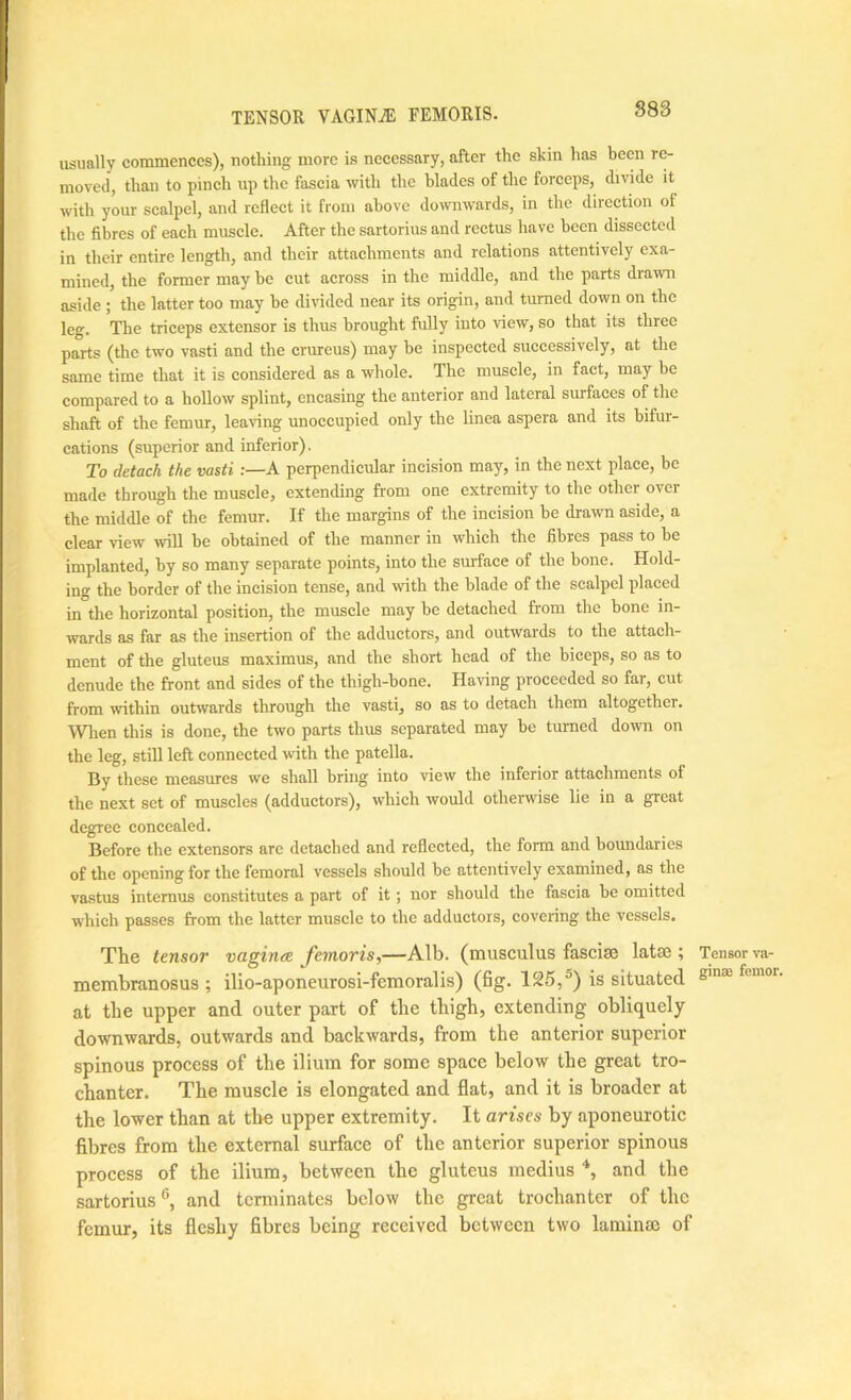 TENSOR VAGINiE FEMORIS. 88S usually commences), nothing more is necessary, after the skin has been re- moved, than to pinch up the fascia with the blades of the forceps, divide it with your scalpel, and reflect it from above downwards, in the direction of the fibres of each muscle. After the sartorius and rectus have been dissected in their entire length, and their attachments and relations attentively exa- mined, the former may be cut across in the middle, and the parts drawn aside ; the latter too may be divided near its origin, and turned down on the leg. The triceps extensor is thus brought fully into view, so that its three parts (the two vasti and the crureus) may be inspected successively, at the same time that it is considered as a whole. The muscle, in fact, may be compared to a hollow splint, encasing the anterior and lateral surfaces of the shaft of the femur, leaving unoccupied only the linea aspera and its bifur- cations (superior and inferior). To detach the vasti:—A perpendicular incision may, in the next place, be made through the muscle, extending from one extremity to the other over the middle of the femur. If the margins of the incision be drawn aside, a clear view rvill he obtained of the manner in which the fibres pass to be implanted, by so many separate points, into the surface of the bone. Hold- ing the border of the incision tense, and with the blade of the scalpel placed in the horizontal position, the muscle may be detached fi'om the bone in- wards as far as the insertion of the adductors, and outwards to the attach- ment of the gluteus maximus, and the short head of the biceps, so as to denude the front and sides of the thigh-bone. Having proceeded so far, cut from within outwards through the vasti, so as to detach them altogether. When this is done, the two parts thus separated may be turned dow on the leg, still left connected with the patella. By these measures we shall bring into view the inferior attachments of the next set of muscles (adductors), which would otherwise lie in a great degree concealed. Before the extensors are detached and reflected, the form and boundaries of the opening for the femoral vessels should be attentively examined, as the vastus intemus constitutes a part of it; nor should the fascia be omitted which passes from the latter muscle to the adductors, covering the vessels. The tensor vagina femoris,—Alb. (musculus fascite lataa ; membranosus ; ilio-aponeurosi-femoralis) (6g. 125,^) is situated at the upper and outer part of the thigh, extending obliquely downwards, outwards and backwards, from the anterior superior spinous process of the ilium for some space below the great tro- chanter. The muscle is elongated and flat, and it is broader at the lower than at tl>e upper extremity. It arises by aponeurotic fibres from the external surface of the anterior superior spinous process of the ilium, between the gluteus medius and the sartorius®, and terminates below the great trochanter of the femur, its fleshy fibres being received between two laminm of Tensor va- ginae femor.