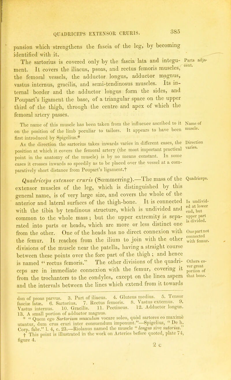 QUADRICEPS EXTENSOR CRURIS. pansion wliich strengthens the fascia of the leg, by becoming identified with it. -- The sartorius is covered only by the fascia lata and integu- Parts adja- ment. It covers the iliacus, psoas, and rectus femons muscles, the femoral vessels, the adductor longus, adductor magnus, vastus internus, gracilis, and semi-tendinosus muscles. Its in- ternal border and the adductor longus form the sides, and Poupart’s ligament the base, of a triangular space on the upper third of the thigh, through the centre and apex of which the femoral artery passes. The name of this muscle has been taken from the influence ascribed to it Name of on the position of the limb peculiar to tailors. It appears to have been muscle, first Introduced by Spigelius.* As the direction the sartorius takes inwards varies in different cases, the Direction position at which it covers the femoral artery (the most important practical point in the anatomy of the muscle) is by no means constant. In some cases it crosses inwards so speedily as to he placed over the vessel at a com- paratively short distance from Poupart’s ligament.!' Quadriceps extensor cruris (Soemmerring).—The mass of the Quadnceps. extensor muscles of the leg, which is distinguished by this general name, is of very large size, and covers the whole of the anterior and lateral surfaces of the thigh-bone. It is connected Is undiid^- with the tibia by tendinous structure, which is undivided and end', but common to the whole mass ; but the upper extremity is sepa- rated, into parts or heads, whieh are more or less distinct one from the other. One of the heads has no direct connexion with the femur. It reaches from the ilium to join with the other femur, divisions of the muscle near the patella, having a straight course between these points over the fore part of the thigh ; and hence is named “ rectus femoris.” The other divisions of the quadri- ceps are in immediate connexion with the femur, covering it ^f from the trochanters to the condyles, except on the linea aspera that bone, and the intervals between the lines which extend from it towards don of psoas parvus. 3. Part of iliacus. 4. Gluteus mcdius. o. Tcnsoi fascia lata. 6. Sartorius. 7. Rectus femoris. 8. Vastus externus. 9. Vastus internus. 10. Gracilis. 11. Pcctincus. 12. Adductor longus. 13. A small portion of adductor magnus. ^ , ■* “ Quern ego Sartorium niusculum vocare soleo, quod sartores co maxime utantur, dum crus cruri inter consuendum imponunt.”—Spigelius, “ De h. Corp. fabr.” 1. 4, c. 23.—Riolanus named the muscle “ lo?igus sive mtoriu^P t This point is illustrated in the work on Arteries before quoted, plate 74, figure 4.