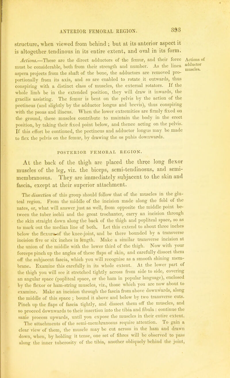 structure, ■when viewed from behind ; but at its anterior aspect it is altogether tendinous in its entire extent, and oval in its form. Actions.—These are the direct adductors of the femur, and their force Actions of must be considerable, both from their strength and number. As the linca adductor aspera projects from the shaft of the bone, the adductors are removed pro- portionally from its axis, and so are enabled to rotate it outwards, thus conspiring with a distinct class of muscles, the external rotators. If the whole limb be in the extended position, they will draw it inwards, the gracilis assisting. The femur is bent on the pelvis by the action of the pectineus (and slightly by the adductor longus and brevis), thus conspiring with the psoas and iliacus. When the lower extremities are firmly fixed on the ground, these muscles contribute to maintain the body in the erect position, by taking their fixed point below, and thence acting on the pelvis. If this effort be continued, the pectineus and adductor longus may be made to flex the pelvis on the femur, by drawing the os pubis downwards. POSrEllIOR FEMORAL REGION. At the back of the thigh are placed the thrQe long flexor muscles of the leg, viz. the biceps, semi-tendinosus, and semi- membranosus. They are immediately subjacent to the skin and fascia, except at their superior attachment. The dissection of this group should follow that of the muscles in the glu- teal regfioii. From the middle of the incision made along the fold of the nates, or, what will answer just as well, from opposite the middle point be- tween the tuber ischii and the gi’eat trochanter, carry an incision through the skin straight down along the back of the thigh and popliteal space, so as to mark out the median line of both. Let this extend to about three inches below the flexura*of the knee-joint, and be there bounded by a transverse incision five or six inches in length. Make a similar transverse incision at the union of the middle with the lower third of the thigh. Now with your forceps pinch up the angles of these flaps of skin, and carefully dissect them off the subjacent fascia, which you will recognise as a smooth shining mem- brane. Examine this carefully in its whole extent. At the lower part of tire thigh you will see it stretched tightly across from side to side, covering an angular space (popliteal space, or the ham in popular language), enclosed by the flexor or ham-string muscles, viz., those which you are now about to examine. Make an incision through the fascia from above downwards, along the middle of this space ; bound it above and below by two transverse cuts. Pinch up the flaps of fascia tightly, and dissect them off the muscles, and so proceed downwards to their insertion into the tibia and fibula : continue the sanie process upward.s, until you expose the muscles in their entire extent. The attachments of the semi-incmbranosus require attention. To gain a clear view of them, the muscle may be cut across in the ham and drawn down, when, by holding it tense, one set of fibres will be observed to pass along the inner tuberosity of the tibia, another obliquely behind the joint,