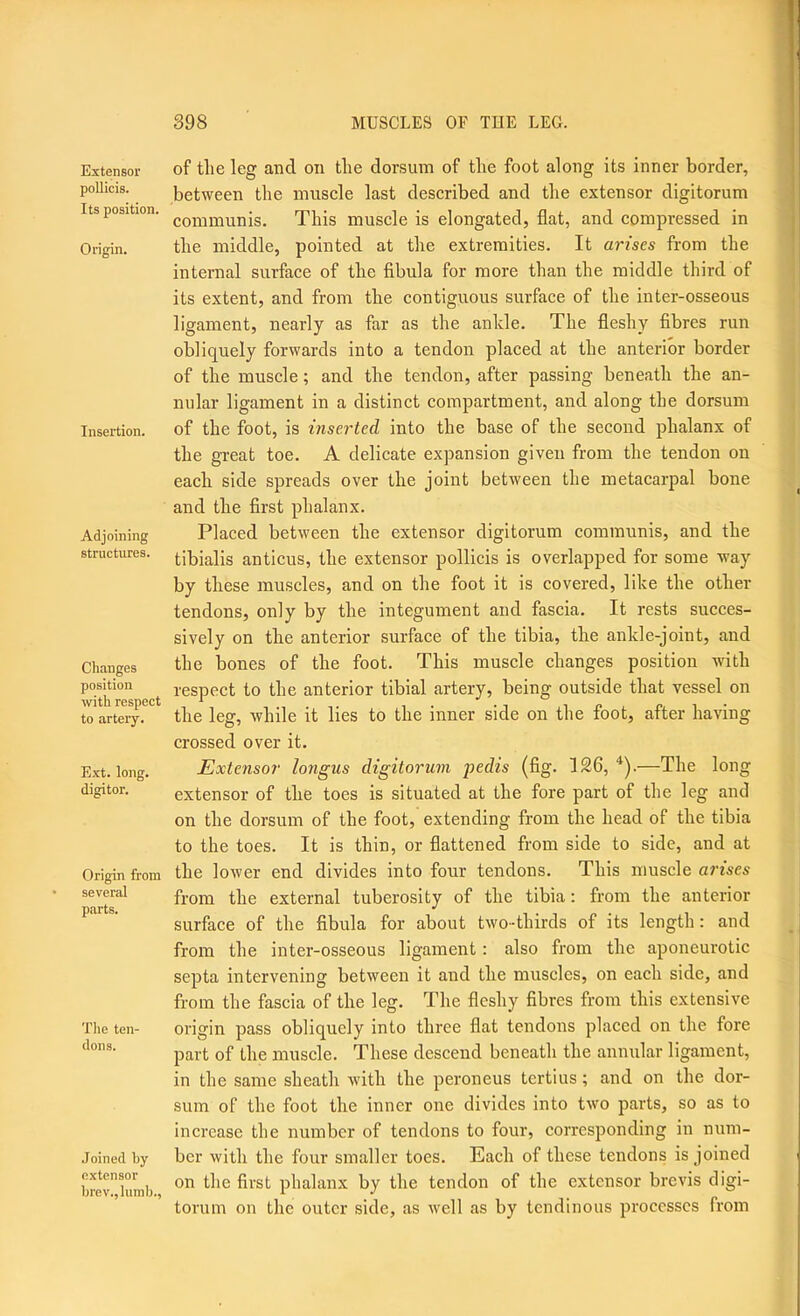 Extensor pollicis. Its position. Origin. Insertion. Adjoining structures. Changes position with respect to artery. Ext. long, digitor. Origin from several parts. Tlie ten- dons. Joined by extensor brev.,lumb.. of tlie leg and on tlie dorsum of tlie foot along its inner border, between the muscle last described and the extensor digitorum communis. This muscle is elongated, flat, and compressed in the middle, pointed at the extremities. It arises from the internal surface of the fibula for more than the middle third of its extent, and from the contiguous surface of the inter-osseous ligament, nearly as far as the ankle. The fleshy fibres run obliquely forwards into a tendon placed at the anterior border of the muscle; and the tendon, after passing beneath the an- nular ligament in a distinct compartment, and along the dorsum of the foot, is inserted into the base of the second phalanx of the gi-eat toe. A delicate expansion given from the tendon on each side spreads over the joint between the metacarpal bone and the first phalanx. Placed between the extensor digitorum communis, and the tibialis anticus, the extensor pollicis is overlapped for some way by these muscles, and on the foot it is covered, like the other tendons, only by the integument and fascia. It rests succes- sively on the anterior surface of the tibia, the ankle-joint, and the bones of the foot. This muscle changes position with respect to the anterior tibial artery, being outside that vessel on the leg, while it lies to the inner side on the foot, after having crossed over it. Extensor longus digitorum pedis (fig. 126, '*).—The long extensor of the toes is situated at the fore part of the leg and on the dorsum of the foot, extending from the head of the tibia to the toes. It is thin, or flattened from side to side, and at the lower end divides into four tendons. This muscle ai'ises from the external tuberosity of the tibia: from the anterior surface of the fibula for about two-thirds of its length: and from the inter-osseous ligament: also from the aponeurotic septa intervening between it and the muscles, on each side, and from the fascia of the leg. The fleshy fibres from this extensive origin pass obliquely into three flat tendons placed on the fore part of the musele. These descend beneath the annular ligament, in the same sheath with the peroneus tertius; and on the dor- sum of the foot the inner one divides into two parts, so as to increase the number of tendons to four, corresponding in num- ber with the four smaller toes. Each of these tendons is joined on the first phalanx by the tendon of the extensor brevis digi- torum on the outer side, as well as by tendinous processes from