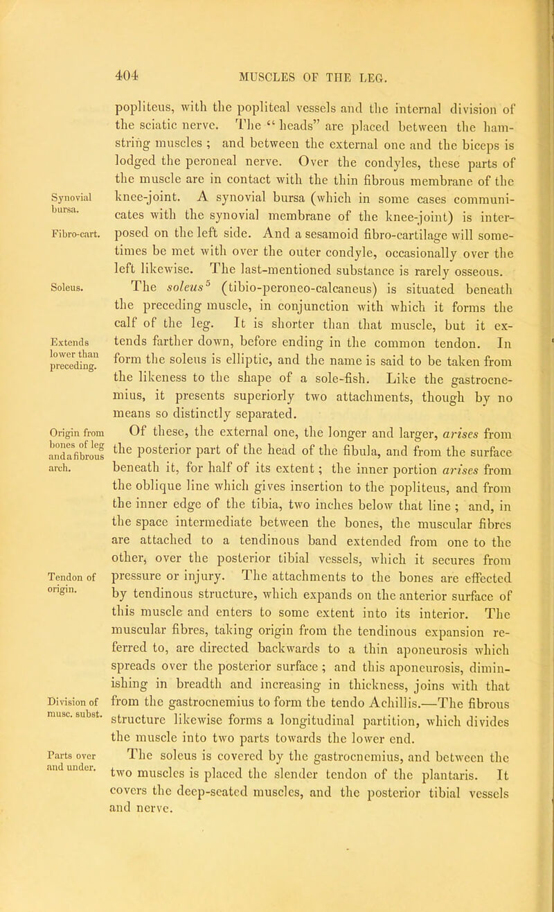 Synovial bursa. Fibro-cart. Soleus. Extends lower than preceding. Origin from bones of leg and a fibrous arch. Tendon of origin. Division of muse, subst. Parts over and under. popliteus, with the popliteal vessels and the internal division of the sciatic nerve. The “ heads” are placed between the ham- string muscles ; and between the external one and the biceps is lodged the peroneal nerve. Over the condyles, these parts of the muscle are in contact with the thin fibrous membrane of the knee-joint. A synovial bursa (which in some cases communi- cates with the synovial membrane of the knee-joint) is inter- posed on the left side. And a sesamoid fibro-cartilage will some- times be met with over the outer condyle, occasionally over the left likewise. The last-mentioned substance is rarely osseous. The soleus^ (tibio-peroneo-calcaneus) is situated beneath the preceding muscle, in conjunction with which it forms the calf of the leg. It is shorter than that muscle, but it ex- tends farther down, before ending in the common tendon. In form the soleus is elliptic, and the name is said to be taken from the likeness to the shape of a sole-fish. Like the gastrocne- mius, it presents superiorly two attachments, though by no means so distinctly separated. Of these, the external one, the longer and larger, arises from the posterior part of the head of the fibula, and from the surface beneath it, for half of its extent; the inner portion arises from the oblique line which gives insertion to the popliteus, and from the inner edge of the tibia, two inches below that line ; and, in the space intermediate between the bones, the muscular fibres are attached to a tendinous band extended from one to the other, over the posterior tibial vessels, which it secures from pressure or injury. The attachments to the bones are etfected by tendinous structure, which expands on the anterior surface of this muscle and enters to some extent into its interior. The muscular fibres, taking origin from the tendinous expansion re- ferred to, are directed backwards to a thin aponeurosis which spreads over the posterior surface ; and this aponeurosis, dimin- ishing in breadth and increasing in thickness, joins with that from the gastrocnemius to form the tendo Achillis.—The fibrous structure likewise forms a longitudinal partition, which divides the muscle into two parts towards the lower end. The soleus is covered by the gastrocnemius, and between the two muscles is placed the slender tendon of the plantaris. It covers the deep-seated muscles, and the posterior tibial vessels and nerve.