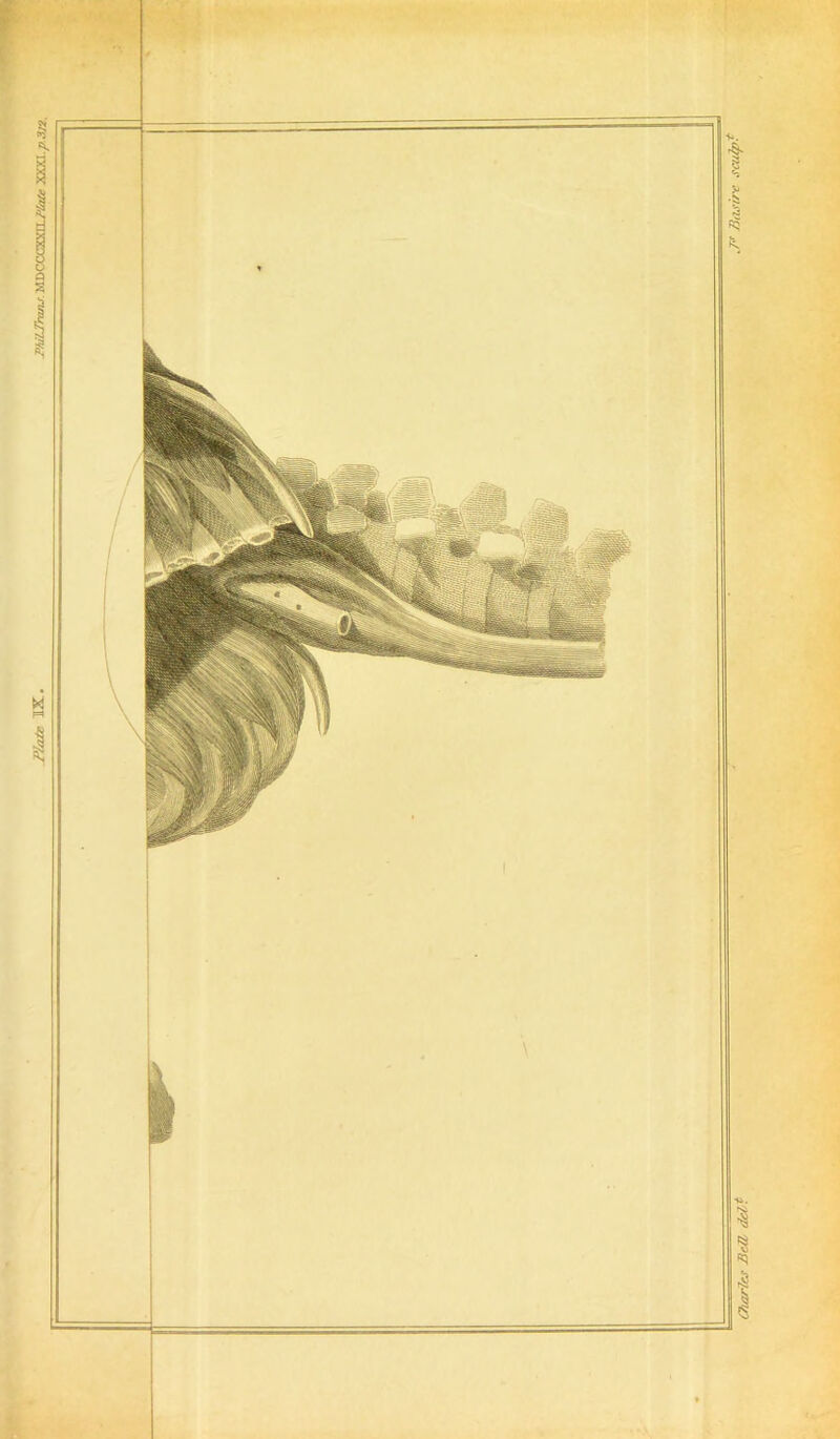 Plate IX. PhilTmnj MDCCCXXILAtoc XOX.p.312.