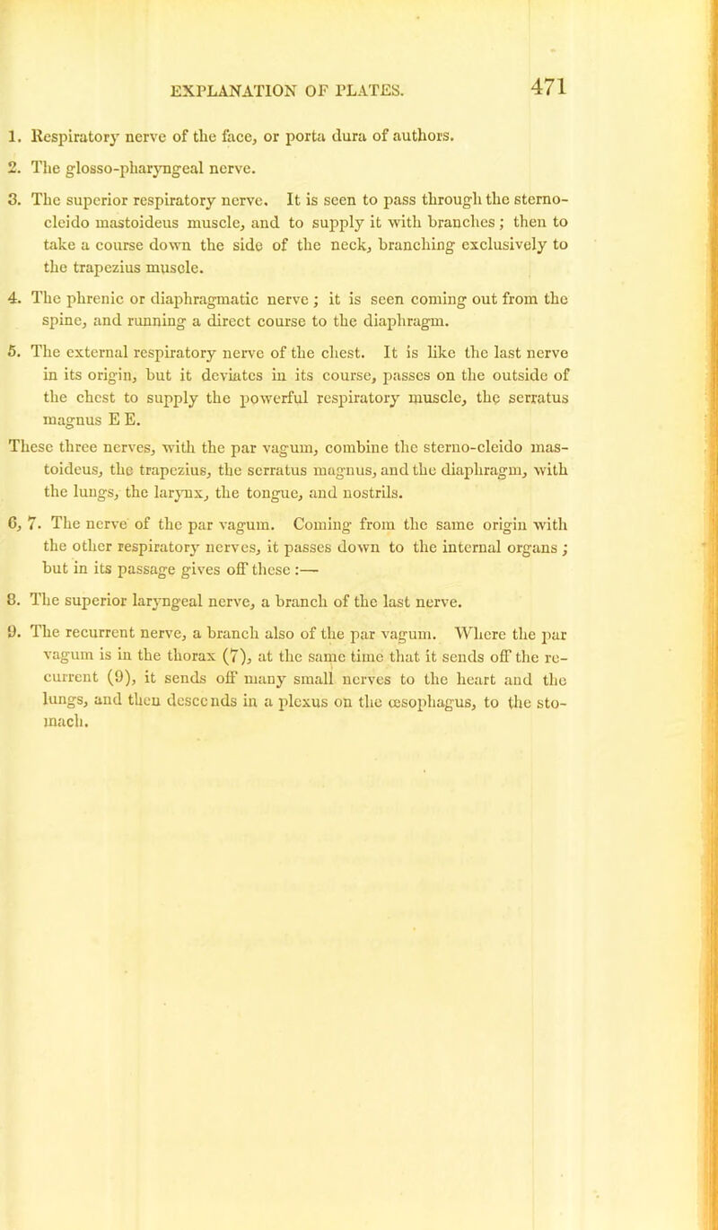 1. Respiratory nerve of the face, or porta dura of authors. 2. The glosso-pliaryngeal nerve. 3. The superior respiratory nerve. It is seen to pass through the sterno- cleido mastoideus muscle, and to supply it with branches ; then to take a course down the side of the neck, branching exclusively to the trapezius muscle. 4. The phrenic or diaphragmatic nerve ; it is seen coming out from the spine, and running a direct course to the diaphragm. 5. The external respiratory nerve of the chest. It is like the last nerve in its origin, but it deviates in its course, passes on the outside of the chest to supply the powerful respiratory muscle, the serratus magnus E E. These three nerves, with the par vagum, combine the sterno-cleido mas- toideus, the trapezius, the serratus magnus, and the diaphragm, with the lungs, the larynx, the tongue, and nostrils. 6. 7. The nerve of the par vagum. Coming from the same origin with the other respiratory nerves, it passes down to the internal organs ; but in its passage gives off these :— 8. The superior laryngeal nerve, a branch of the last nerve. 9. The recurrent nerve, a branch also of the par vagum. Where the par vagum is in the thorax (7), at the same time that it sends off the re- current (9), it sends off many small nerves to the heart and the lungs, and then descends in a plexus on the oesophagus, to the sto- mach.