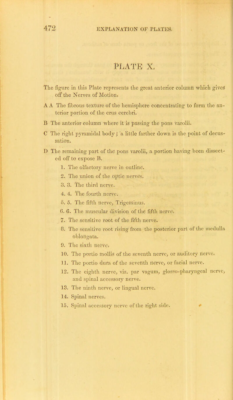 PLATE X, The figure in this Plate represents the great anterior column which gives ofi1 the Nerves of Motion. A A The fibrous texture of the hemisphere concentrating to form the an- terior portion of the crus cerebri. B The anterior column where it is passing the pOns varolii. C The right pyramidal body j a little farther down is the point of decus- sation. D The remaining part of the pons varolii, a portion having been dissect- ed off to expose B. 1. The olfactory nerve in outline. 2. The union of the optic nerves. 3. 3. The third nerve. 4. 4. The fourth nerve. 5. 5. The fifth nerve. Trigeminus. 6. 6. The muscular division of the fifth nerve. 7. The sensitive root of the fifth nerve. 8. The sensitive root rising from the posterior part of the medulla oblottgata. 9. The sixtli nerve. 10. The portio mollis of the seventh nerve, or auditory nerve. 11. The portio dura of the seventh nerve, or facial nerve. 12. The eighth nerve, viz. par vagum, glosSo-pharyngeal nerve, and spinal accessory nerve. 13. The ninth nerve, or lingual nerve. 14. Spinal nerves. 15. Spinal accessory nerve of the right side. *■