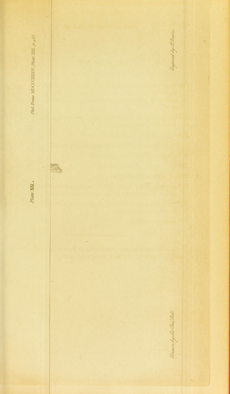 Flate XJI. PM Trims .\ffiCCCXXXlV./fe*- XXI p.4Si